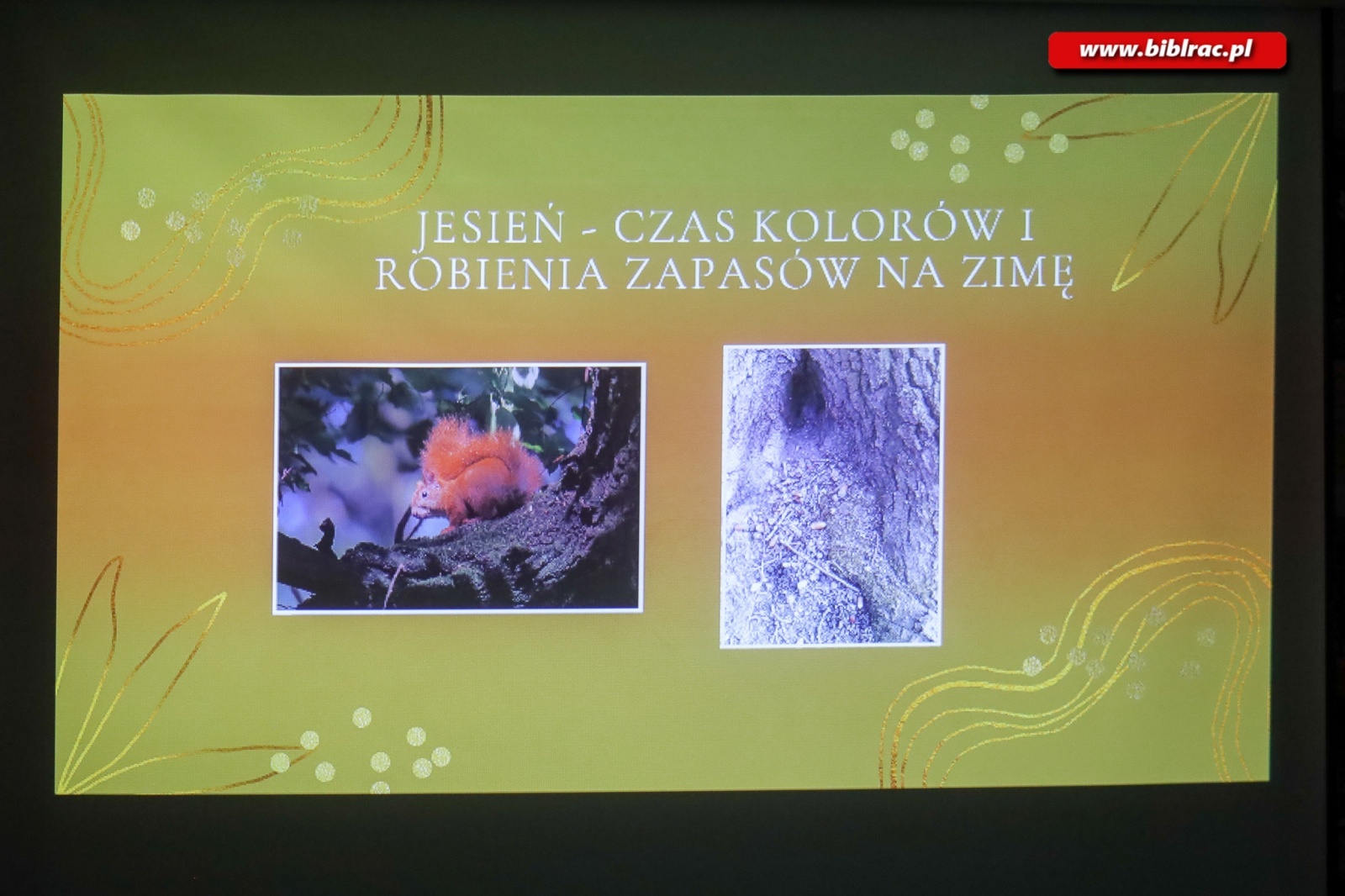 Zdjęcie w galerii na portalu naszraciborz.pl: O Arboretum w bibliotece wiadomości z regionu
