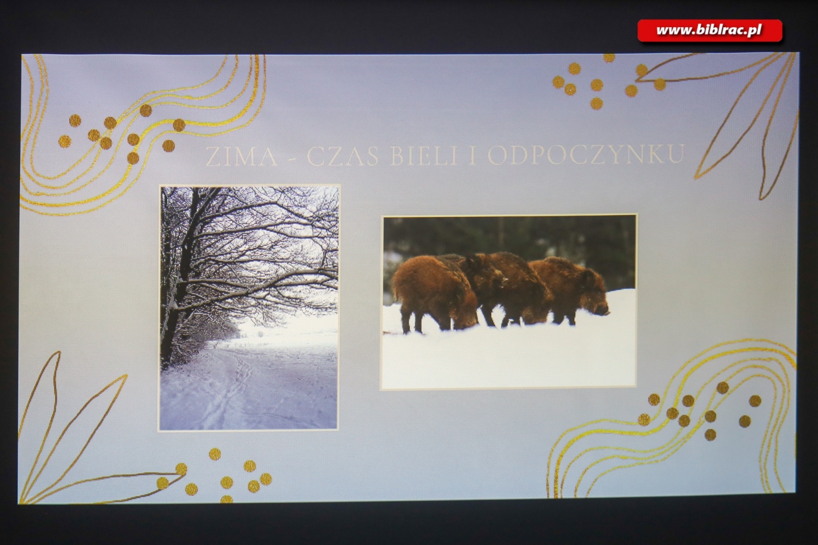 Zdjęcie w galerii na portalu naszraciborz.pl: O Arboretum w bibliotece wiadomości z regionu