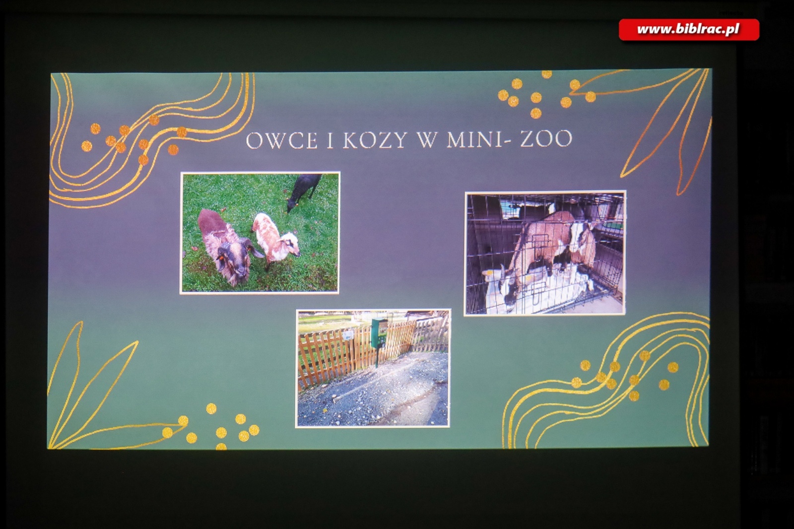 Zdjęcie w galerii na portalu naszraciborz.pl: O Arboretum w bibliotece wiadomości z regionu