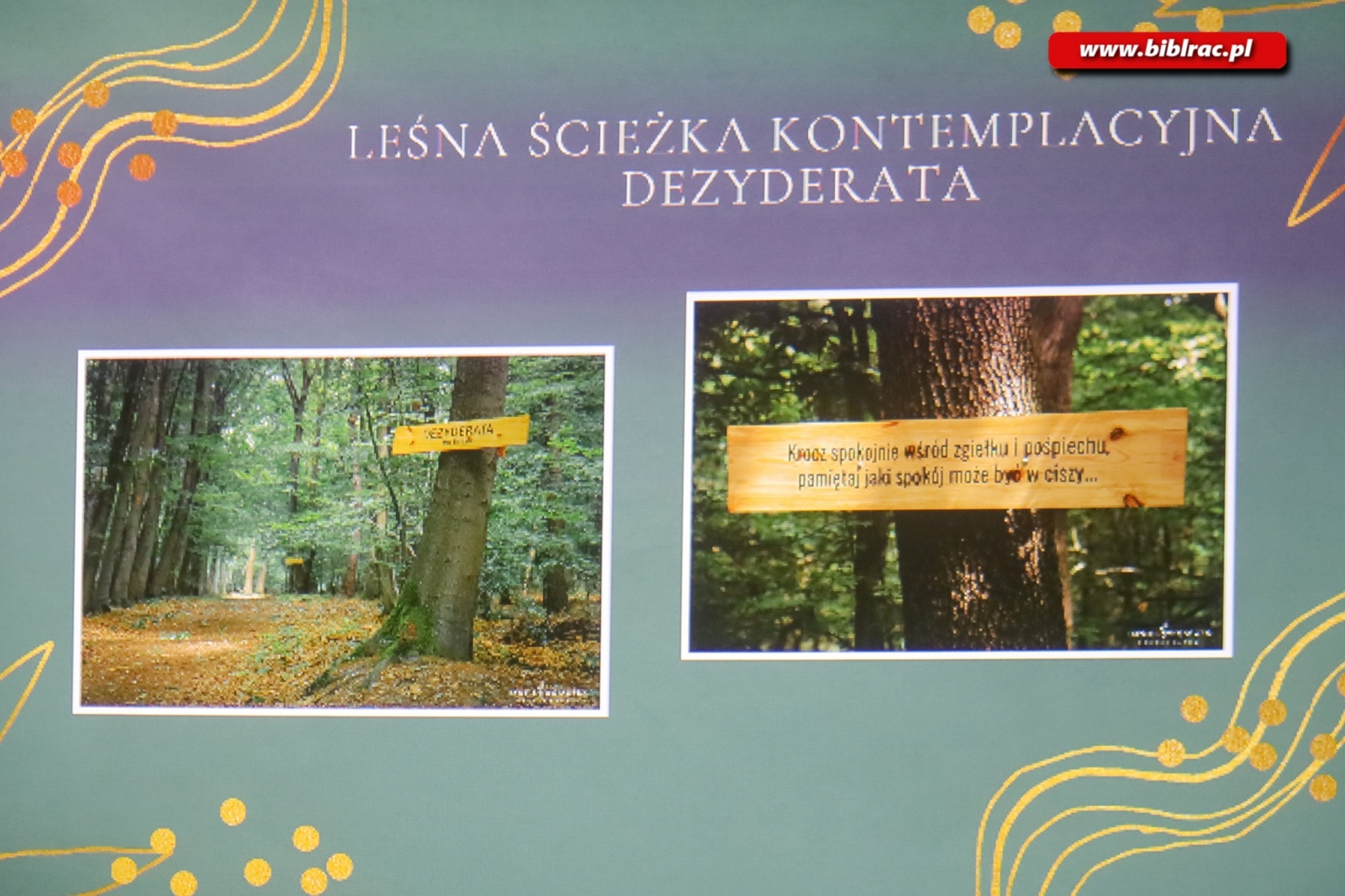 Zdjęcie w galerii na portalu naszraciborz.pl: O Arboretum w bibliotece wiadomości z regionu