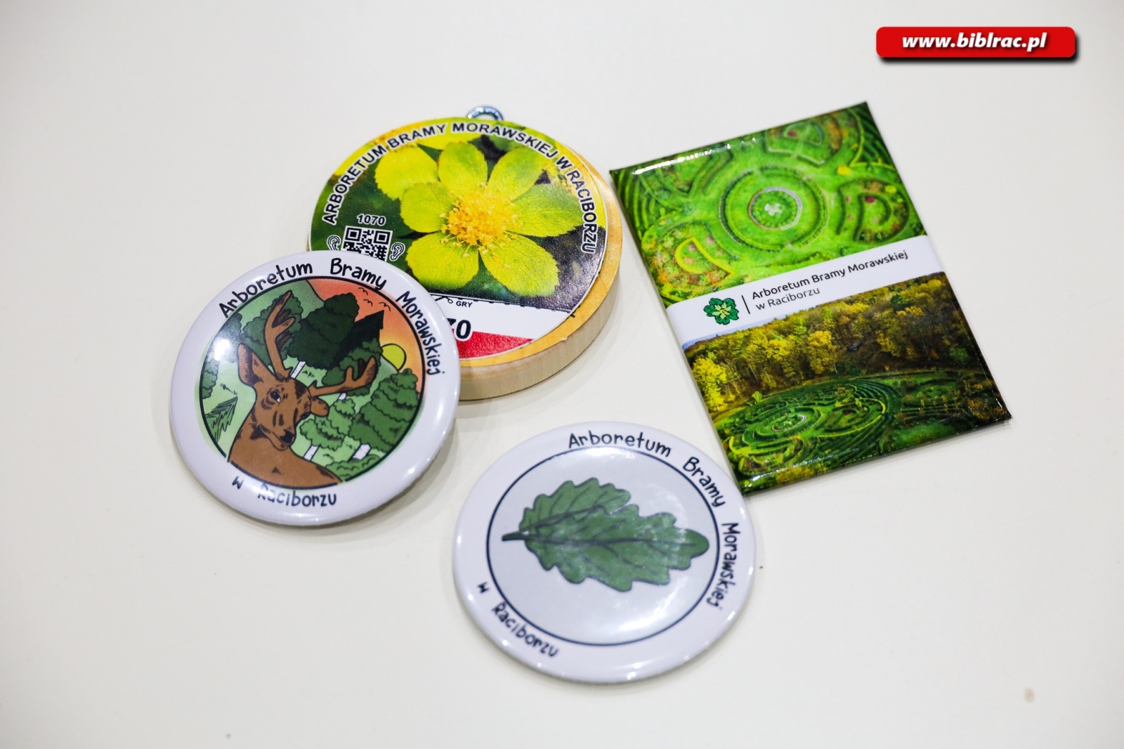 Zdjęcie w galerii na portalu naszraciborz.pl: O Arboretum w bibliotece wiadomości z regionu