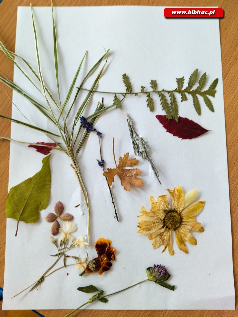 Zdjęcie w galerii na portalu naszraciborz.pl: Obrazki z kwiatów podczas Kulturalnych Ferii z Biblioteką w Markowicach wiadomości z regionu