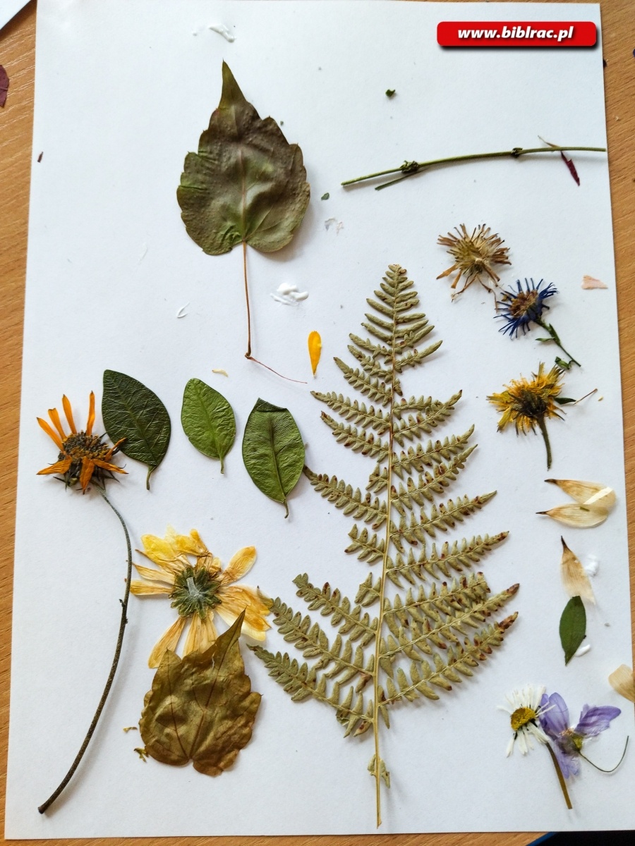 Zdjęcie w galerii na portalu naszraciborz.pl: Obrazki z kwiatów podczas Kulturalnych Ferii z Biblioteką w Markowicach wiadomości z regionu