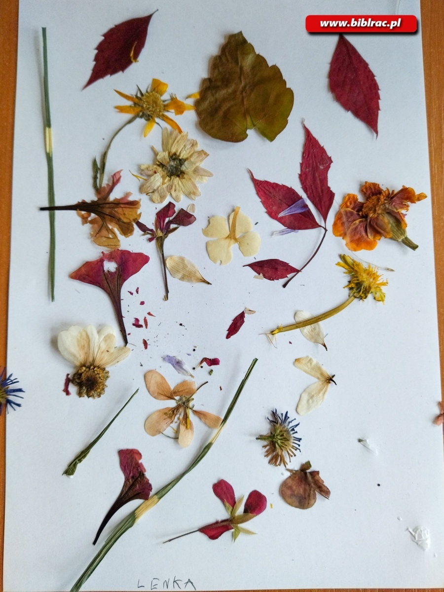 Zdjęcie w galerii na portalu naszraciborz.pl: Obrazki z kwiatów podczas Kulturalnych Ferii z Biblioteką w Markowicach wiadomości z regionu