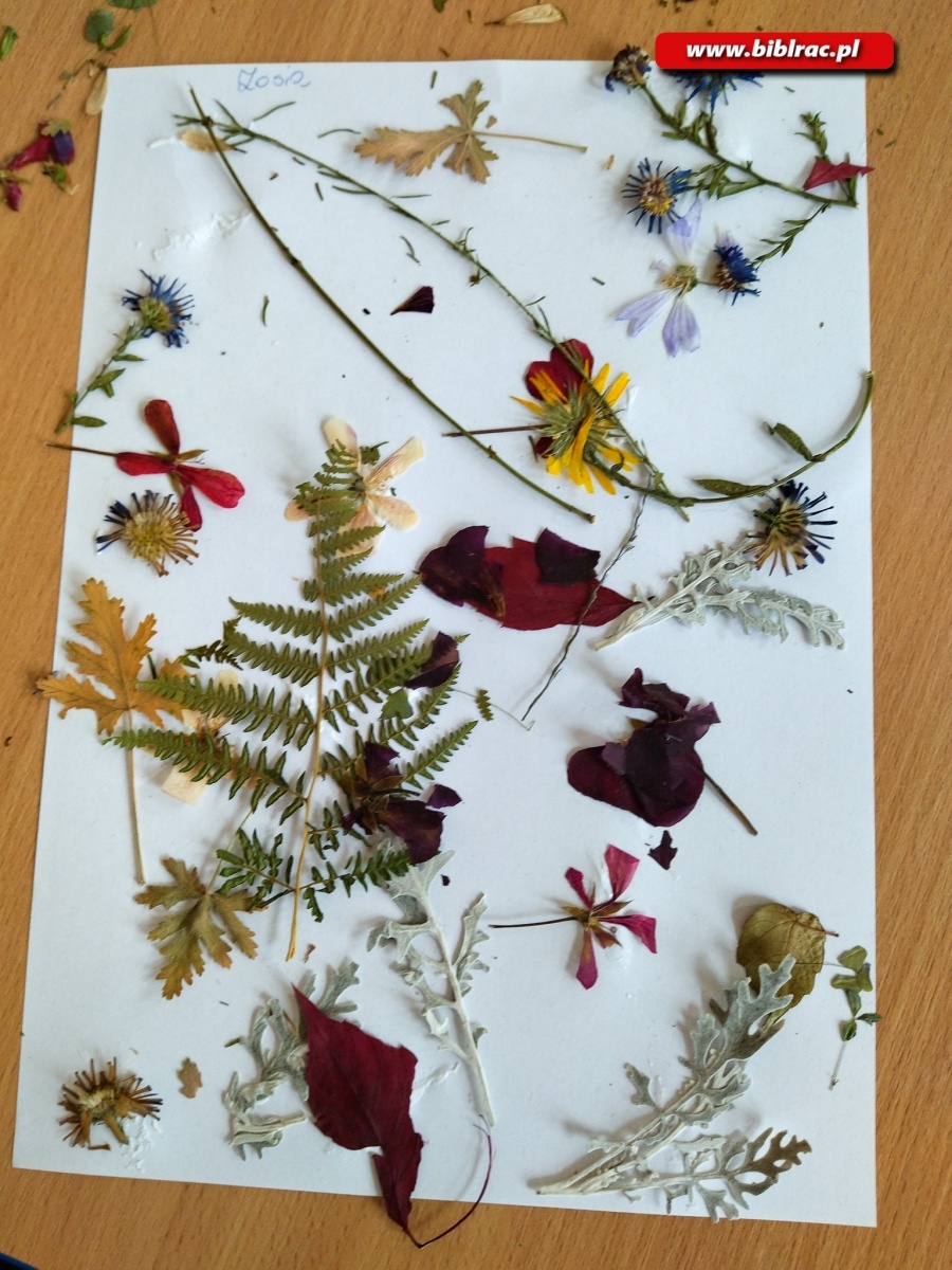 Zdjęcie w galerii na portalu naszraciborz.pl: Obrazki z kwiatów podczas Kulturalnych Ferii z Biblioteką w Markowicach wiadomości z regionu