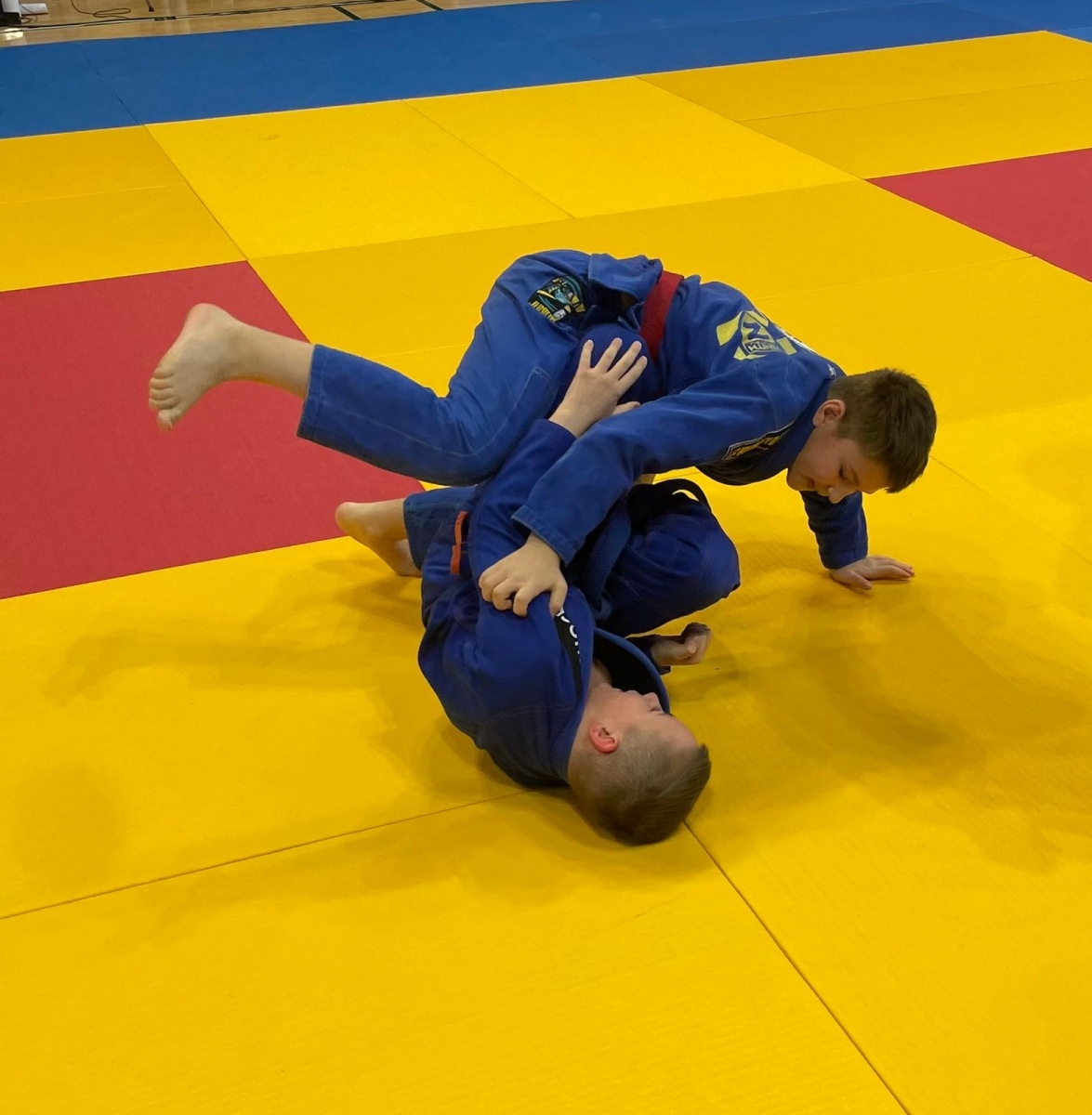 Zdjęcie w galerii na portalu naszraciborz.pl: Medale młodych Łamatorów w Katowicach wiadomości z regionu