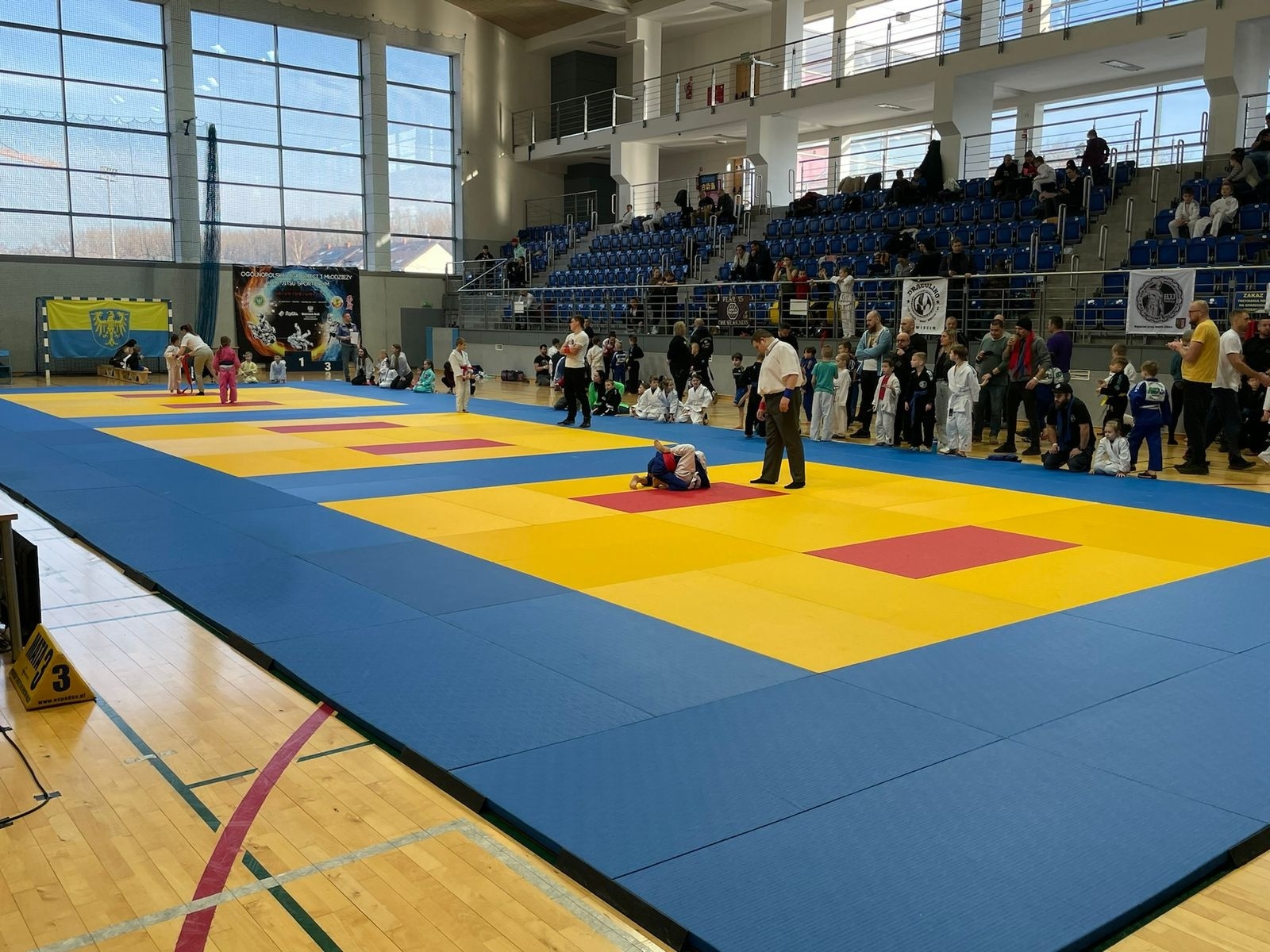 Zdjęcie w galerii na portalu naszraciborz.pl: Medale młodych Łamatorów w Katowicach wiadomości z regionu