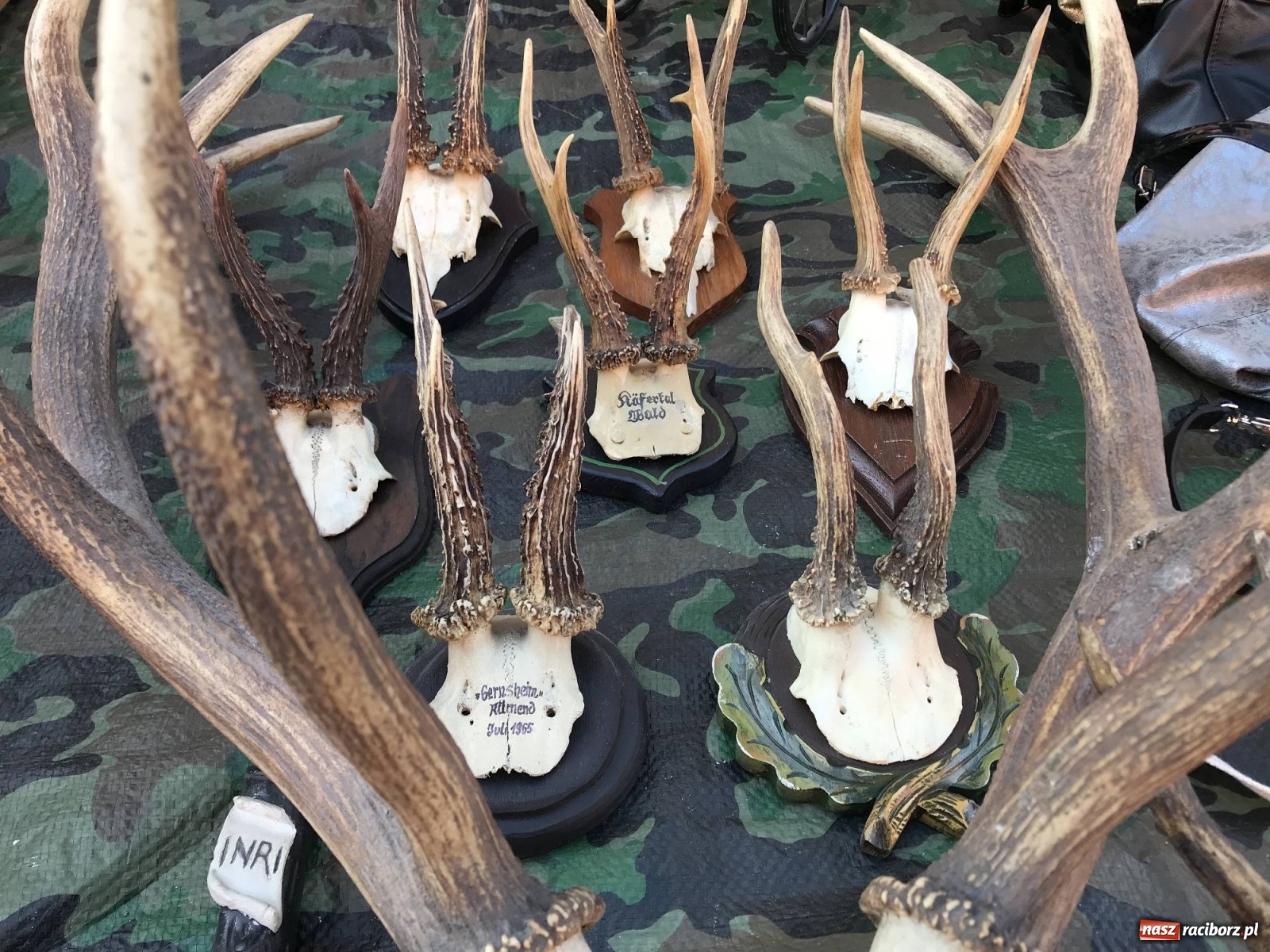 Zdjęcie w galerii na portalu naszraciborz.pl: Na raciborski targ staroci wraca frekwencja wiadomości z regionu