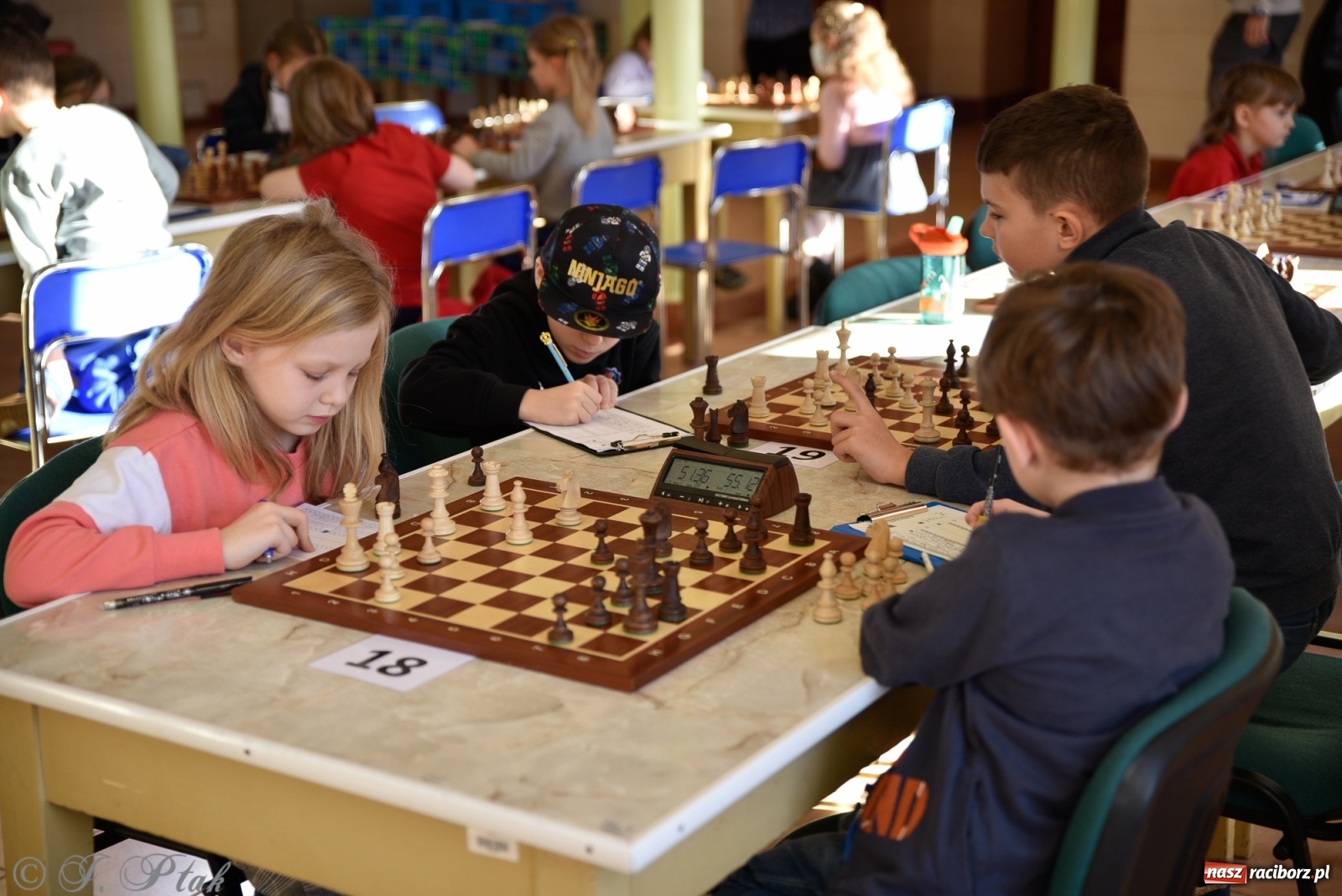 Zdjęcie w galerii na portalu naszraciborz.pl: Młodzi szachiści w rywalizacji o Puchar Prezydenta [FOTO] wiadomości z regionu
