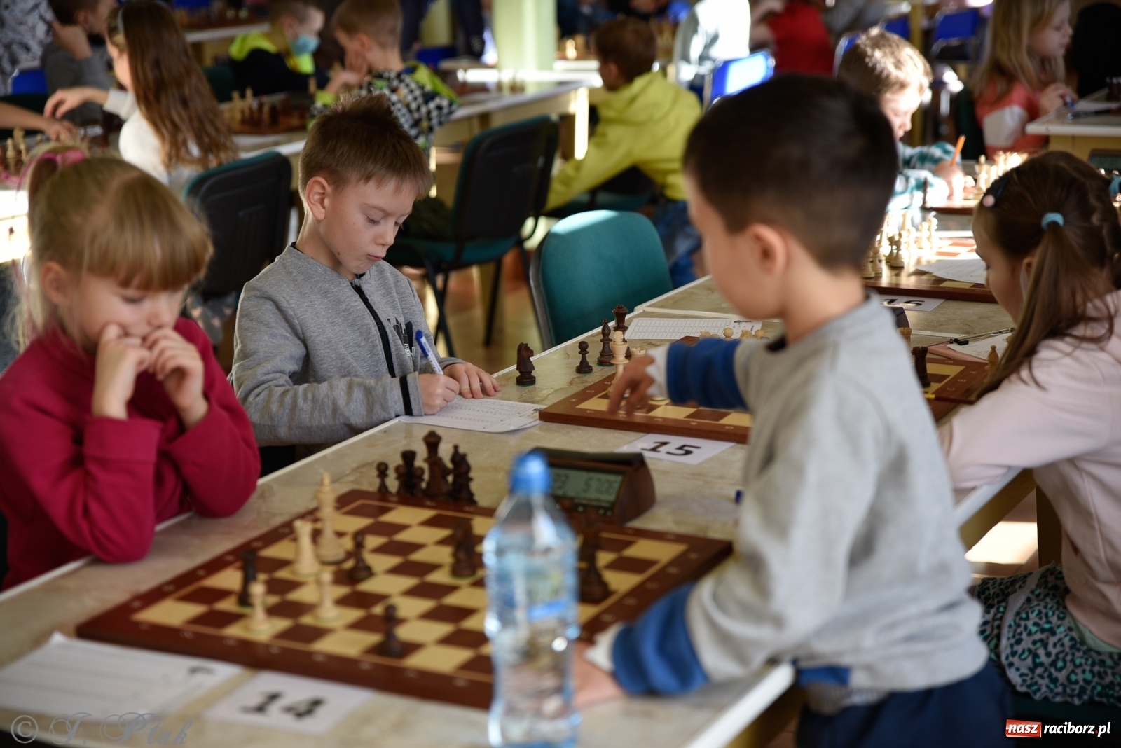 Zdjęcie w galerii na portalu naszraciborz.pl: Młodzi szachiści w rywalizacji o Puchar Prezydenta [FOTO] wiadomości z regionu