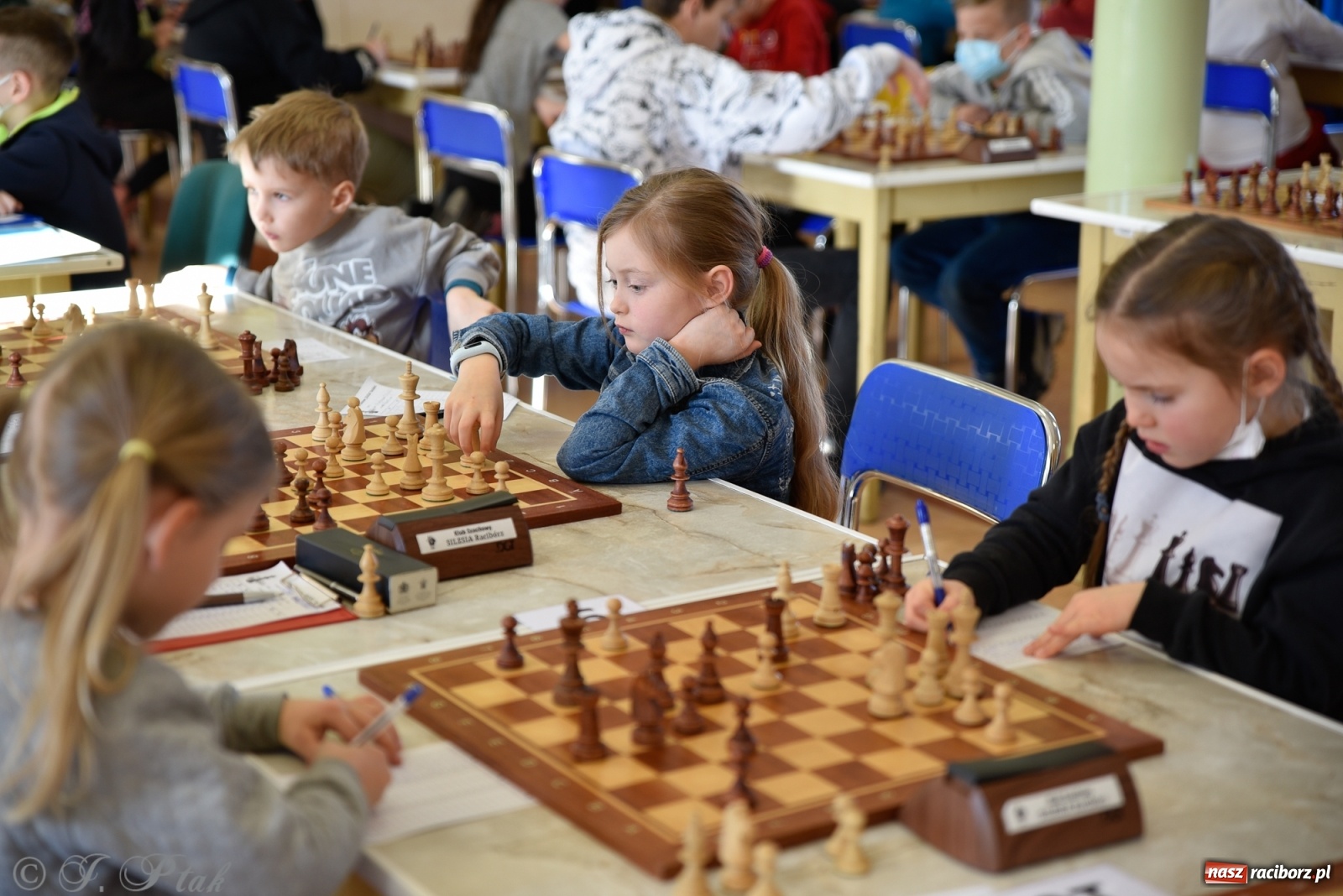 Zdjęcie w galerii na portalu naszraciborz.pl: Młodzi szachiści w rywalizacji o Puchar Prezydenta [FOTO] wiadomości z regionu