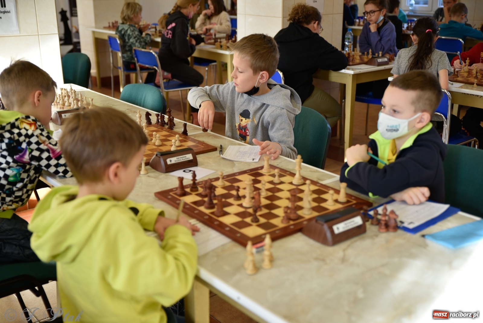 Zdjęcie w galerii na portalu naszraciborz.pl: Młodzi szachiści w rywalizacji o Puchar Prezydenta [FOTO] wiadomości z regionu