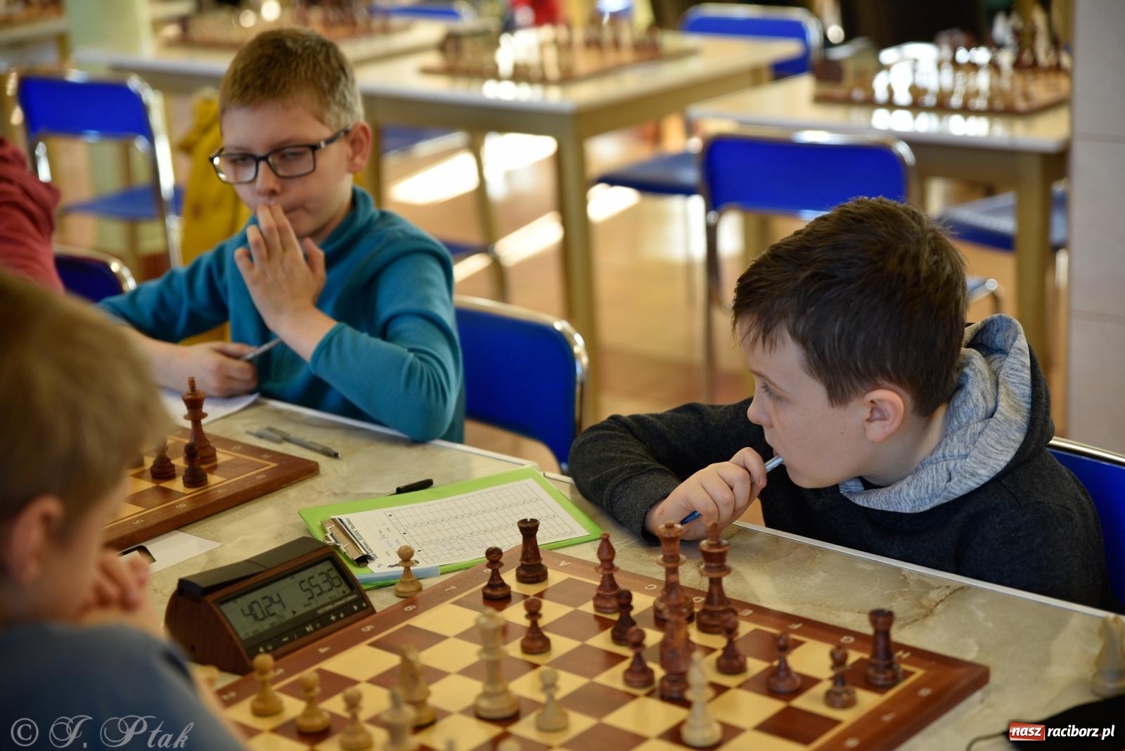 Zdjęcie w galerii na portalu naszraciborz.pl: Młodzi szachiści w rywalizacji o Puchar Prezydenta [FOTO] wiadomości z regionu