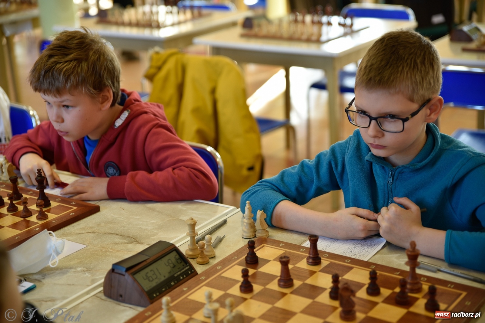Zdjęcie w galerii na portalu naszraciborz.pl: Młodzi szachiści w rywalizacji o Puchar Prezydenta [FOTO] wiadomości z regionu