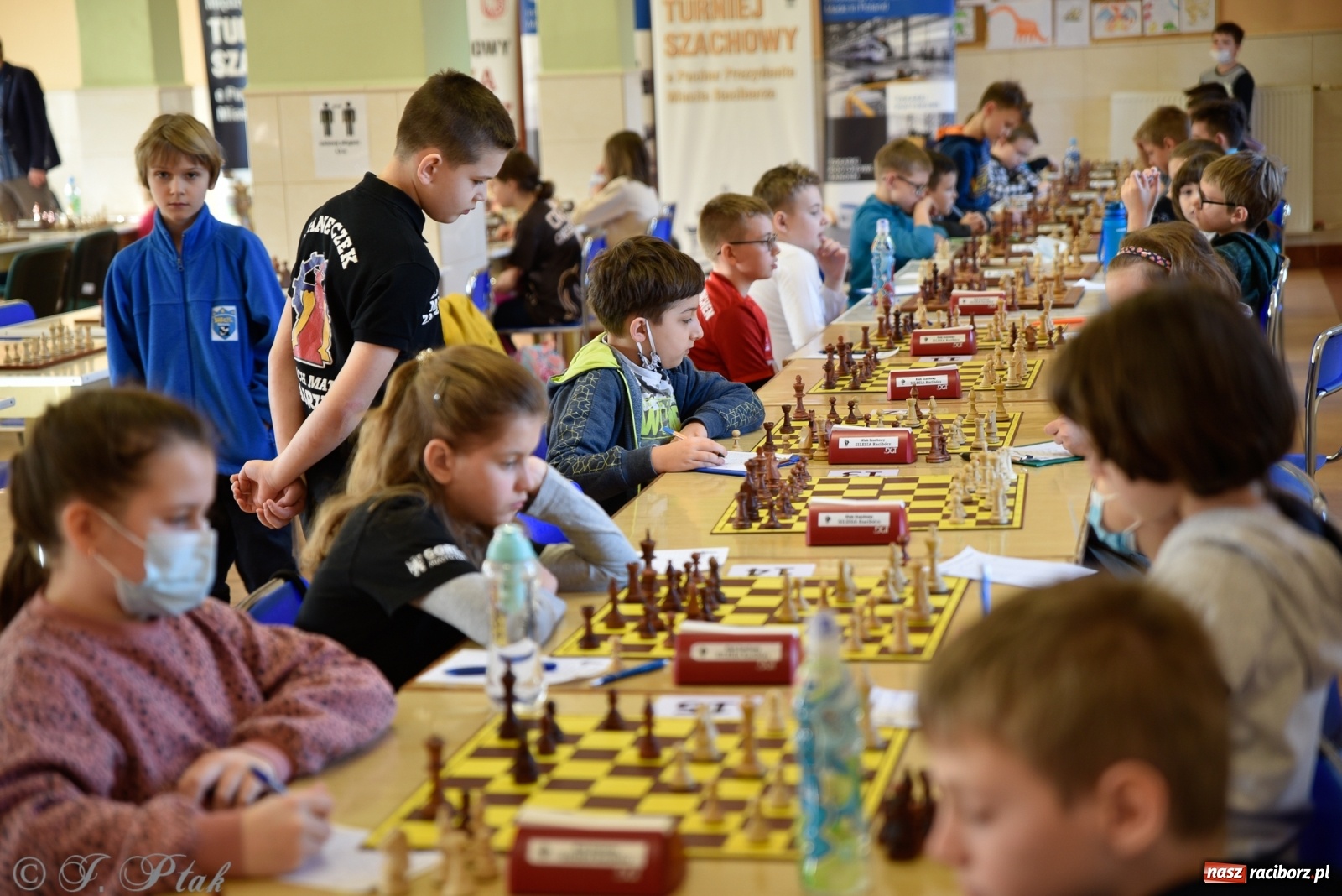 Zdjęcie w galerii na portalu naszraciborz.pl: Młodzi szachiści w rywalizacji o Puchar Prezydenta [FOTO] wiadomości z regionu
