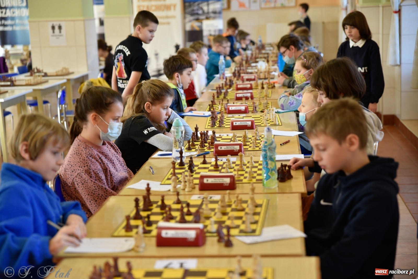Zdjęcie w galerii na portalu naszraciborz.pl: Młodzi szachiści w rywalizacji o Puchar Prezydenta [FOTO] wiadomości z regionu