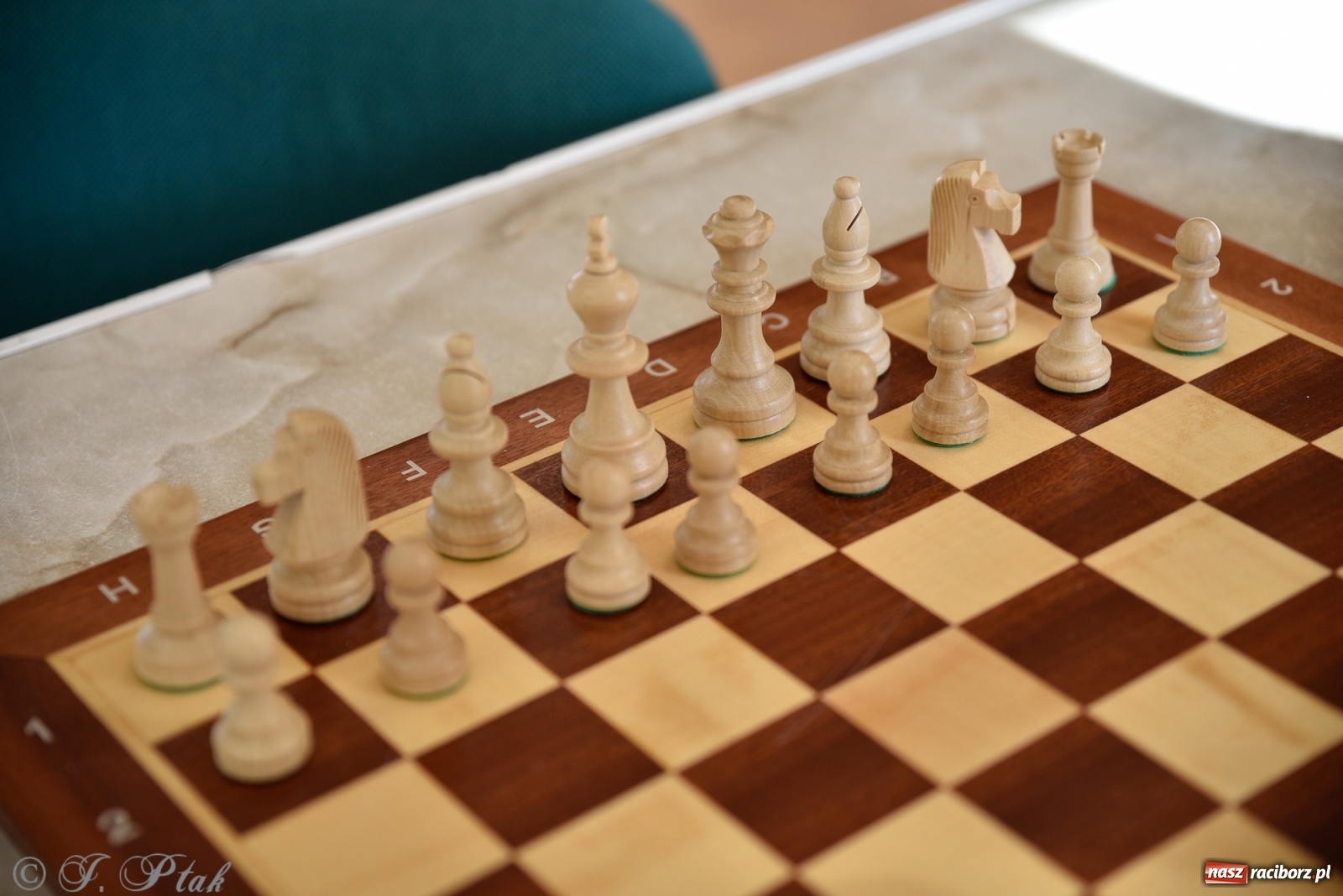 Zdjęcie w galerii na portalu naszraciborz.pl: Młodzi szachiści w rywalizacji o Puchar Prezydenta [FOTO] wiadomości z regionu