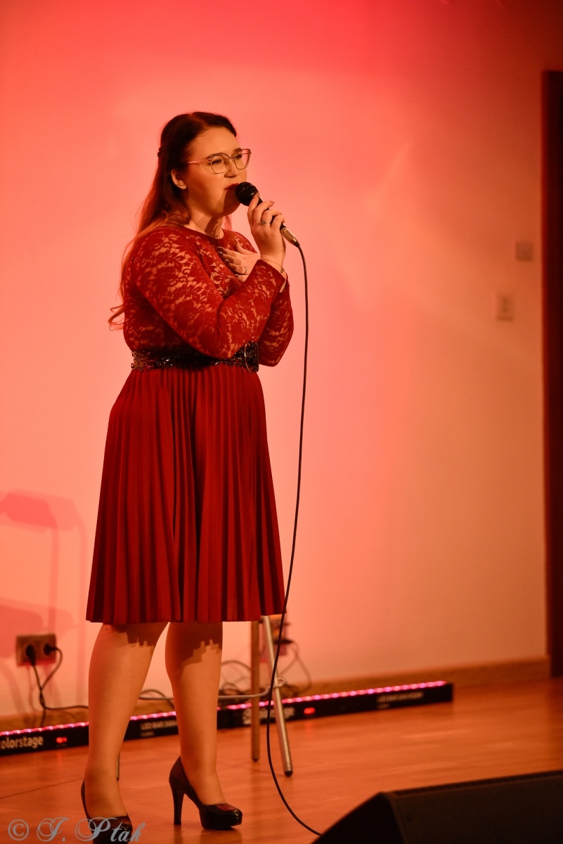 Zdjęcie w galerii na portalu naszraciborz.pl: Miraż w koncercie walentynkowym na zamku wiadomości z regionu