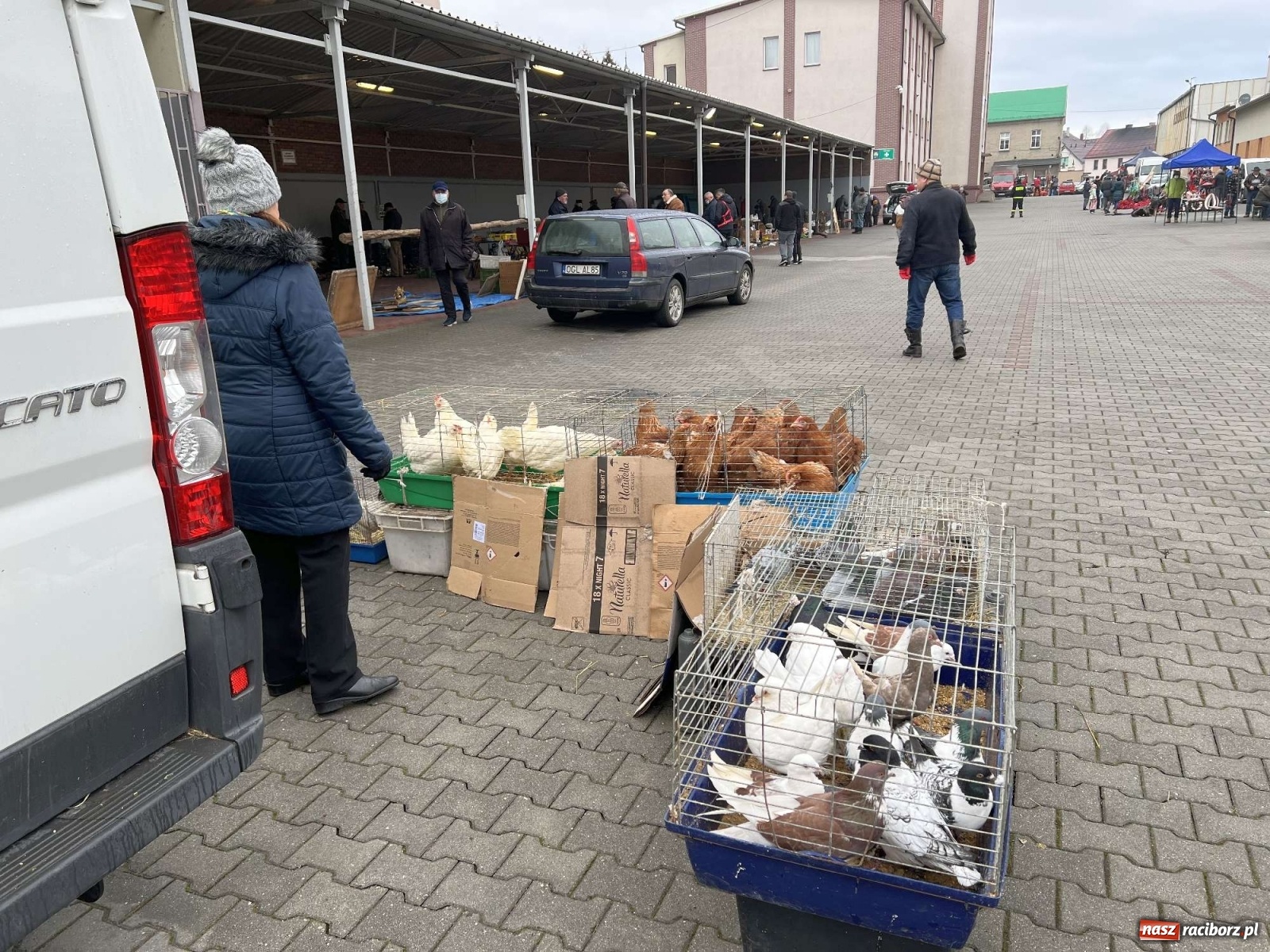 Zdjęcie w galerii na portalu naszraciborz.pl: Targ staroci w Pietrowicach Wlk. czeka na wiosenne przebudzenie wiadomości z regionu