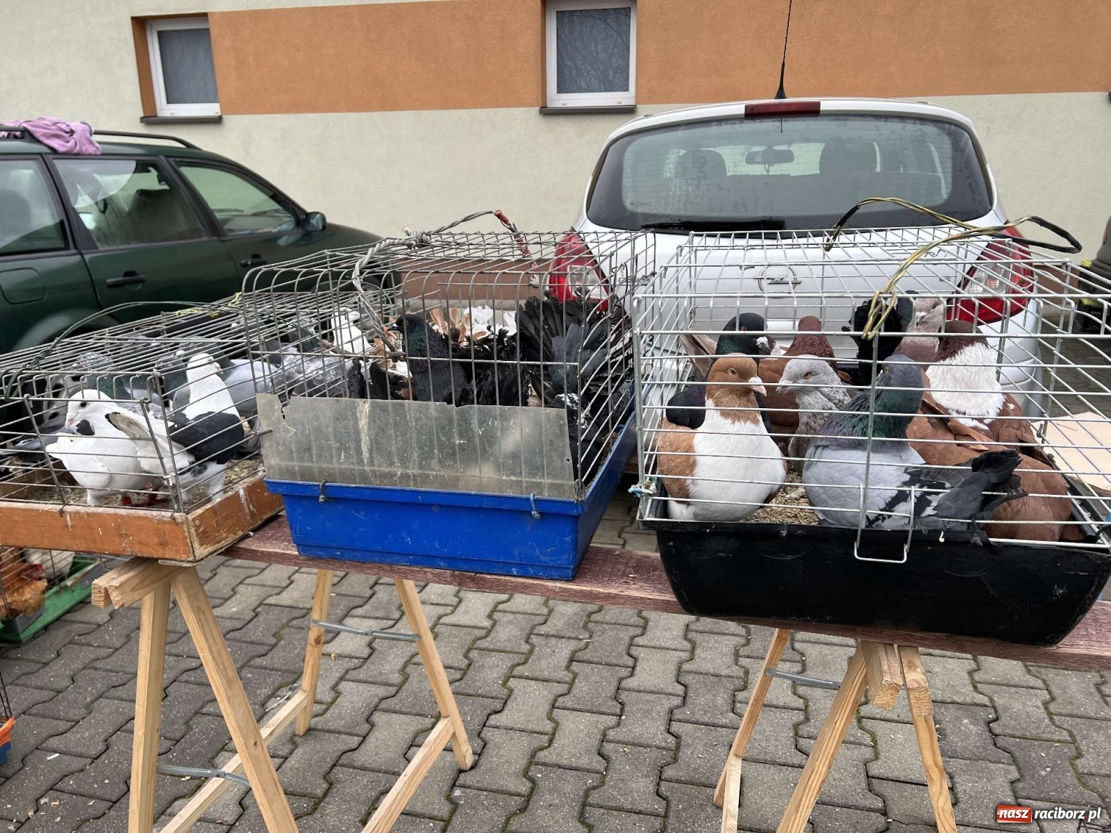 Zdjęcie w galerii na portalu naszraciborz.pl: Targ staroci w Pietrowicach Wlk. czeka na wiosenne przebudzenie wiadomości z regionu