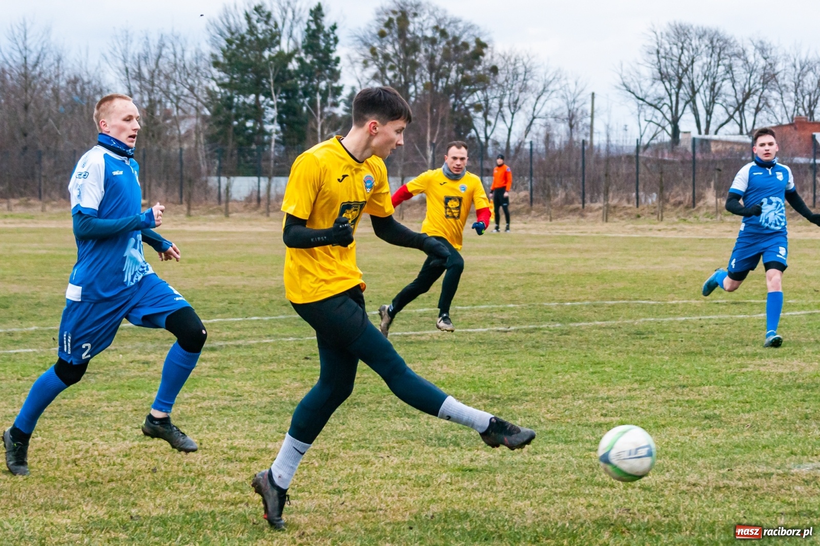 Zdjęcie w galerii na portalu naszraciborz.pl: Strzelanina przy Srebrnej. Przyszłość rozbita [FOTO i WIDEO] wiadomości z regionu