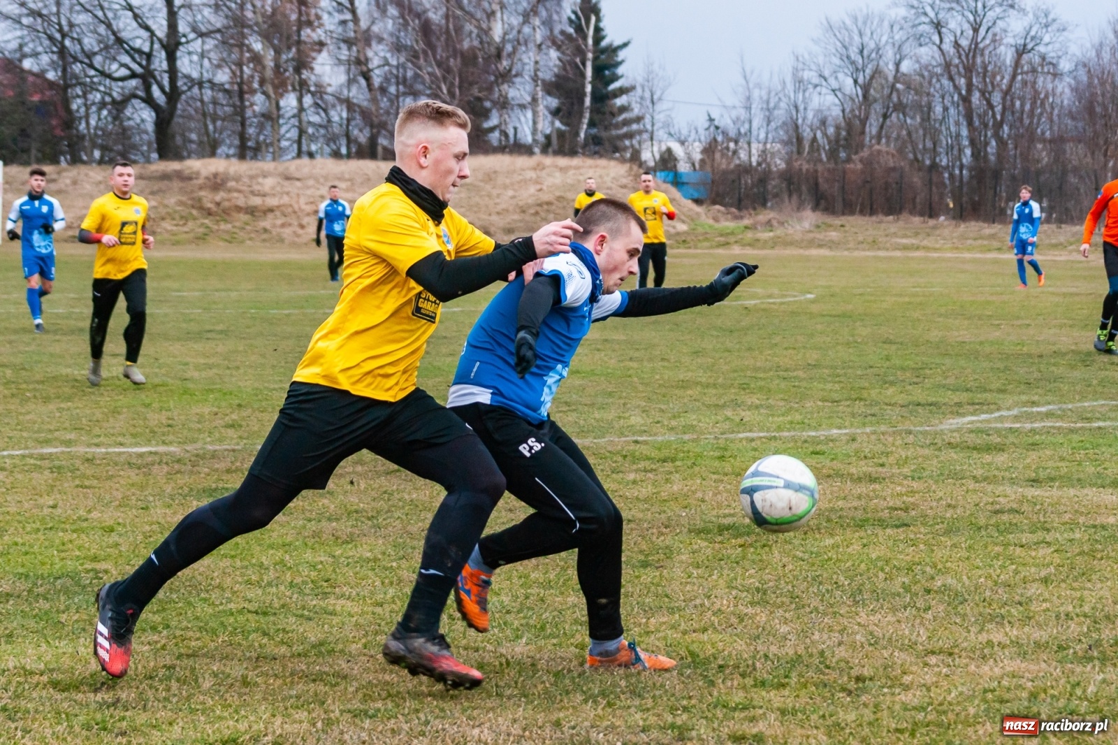 Zdjęcie w galerii na portalu naszraciborz.pl: Strzelanina przy Srebrnej. Przyszłość rozbita [FOTO i WIDEO] wiadomości z regionu