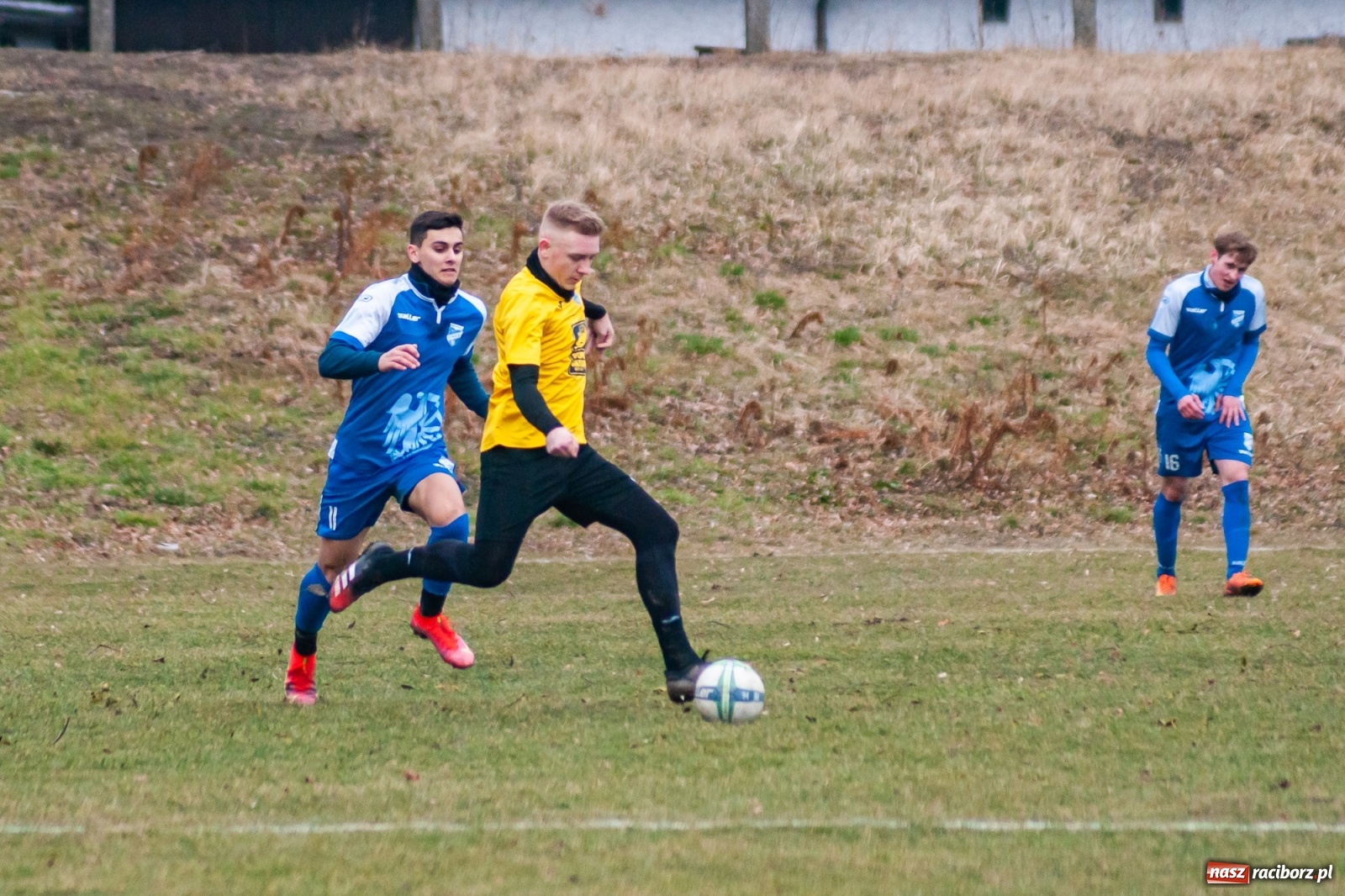 Zdjęcie w galerii na portalu naszraciborz.pl: Strzelanina przy Srebrnej. Przyszłość rozbita [FOTO i WIDEO] wiadomości z regionu