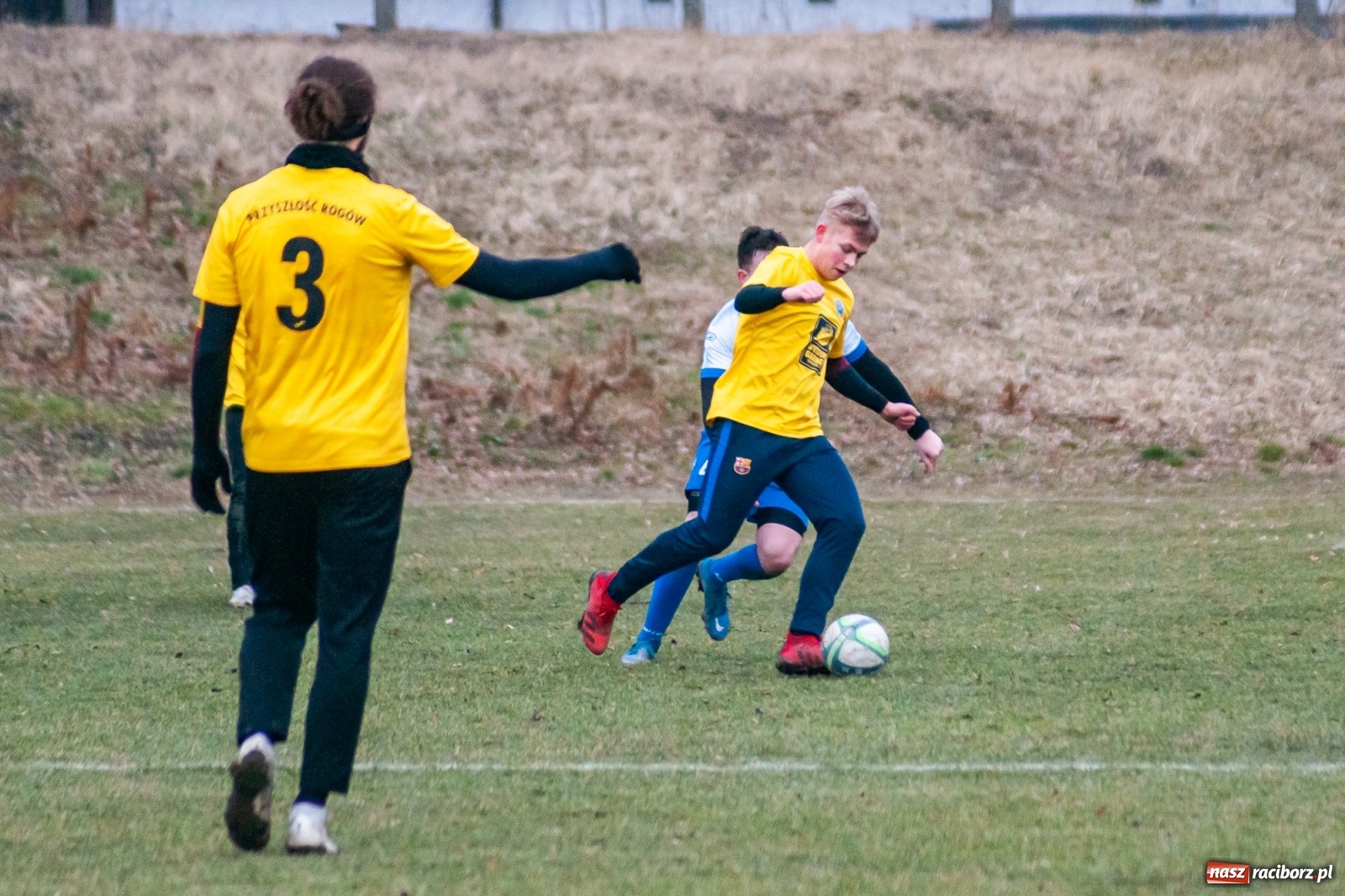 Zdjęcie w galerii na portalu naszraciborz.pl: Strzelanina przy Srebrnej. Przyszłość rozbita [FOTO i WIDEO] wiadomości z regionu