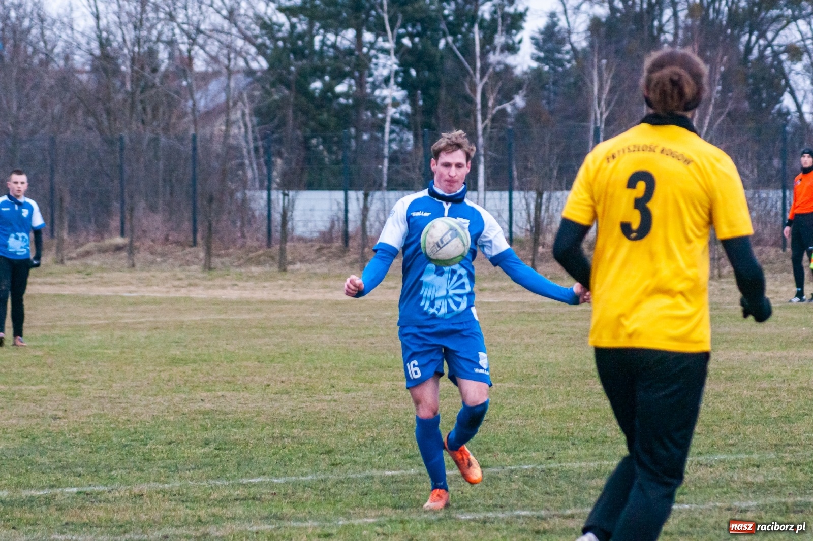 Zdjęcie w galerii na portalu naszraciborz.pl: Strzelanina przy Srebrnej. Przyszłość rozbita [FOTO i WIDEO] wiadomości z regionu