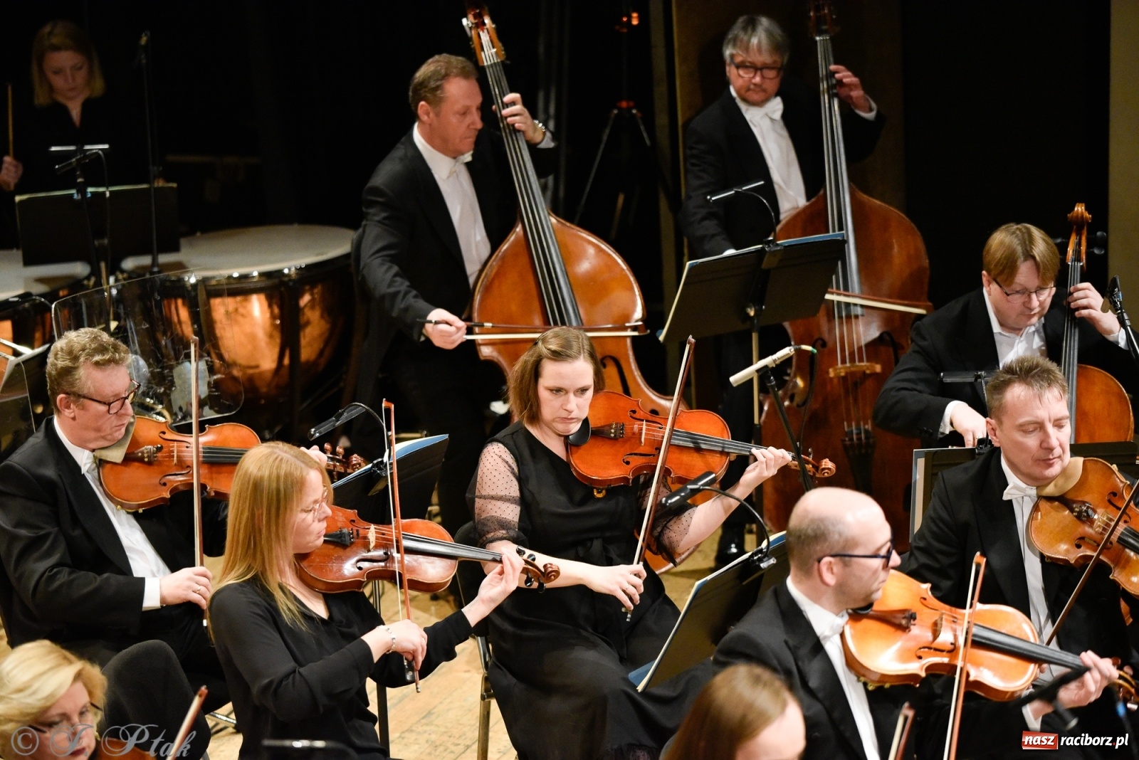 Zdjęcie w galerii na portalu naszraciborz.pl: Muzyka aniołów - prapremiera utworu Adama Wesołowskiego w Raciborzu [FOTO i WIDEO] wiadomości z regionu