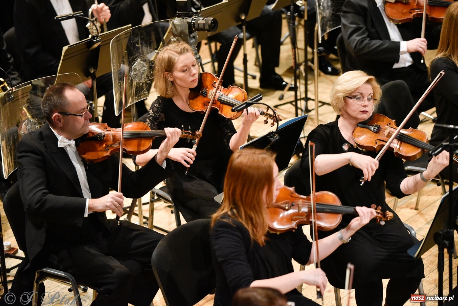 Zdjęcie w galerii na portalu naszraciborz.pl: Muzyka aniołów - prapremiera utworu Adama Wesołowskiego w Raciborzu [FOTO i WIDEO] wiadomości z regionu