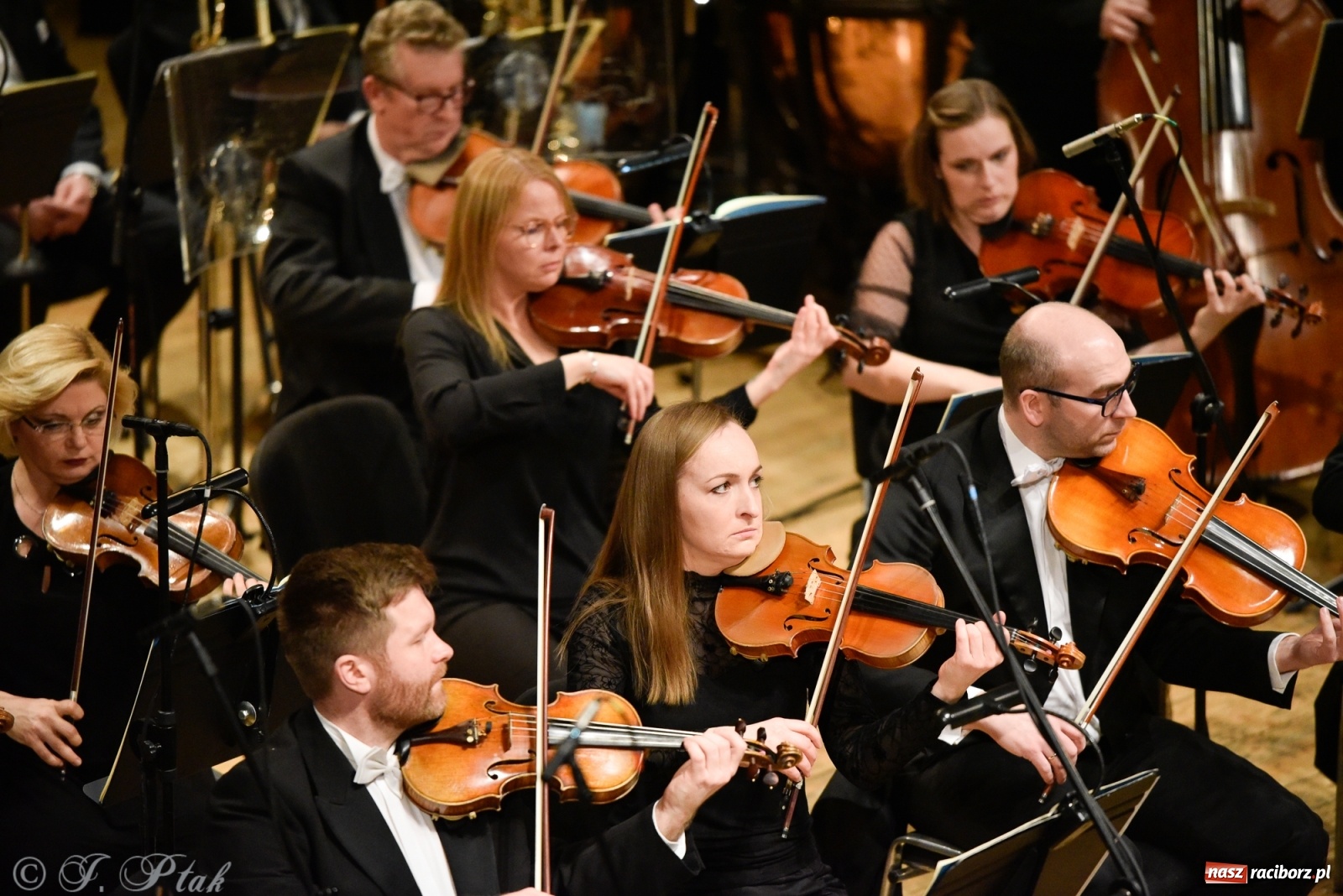 Zdjęcie w galerii na portalu naszraciborz.pl: Muzyka aniołów - prapremiera utworu Adama Wesołowskiego w Raciborzu [FOTO i WIDEO] wiadomości z regionu