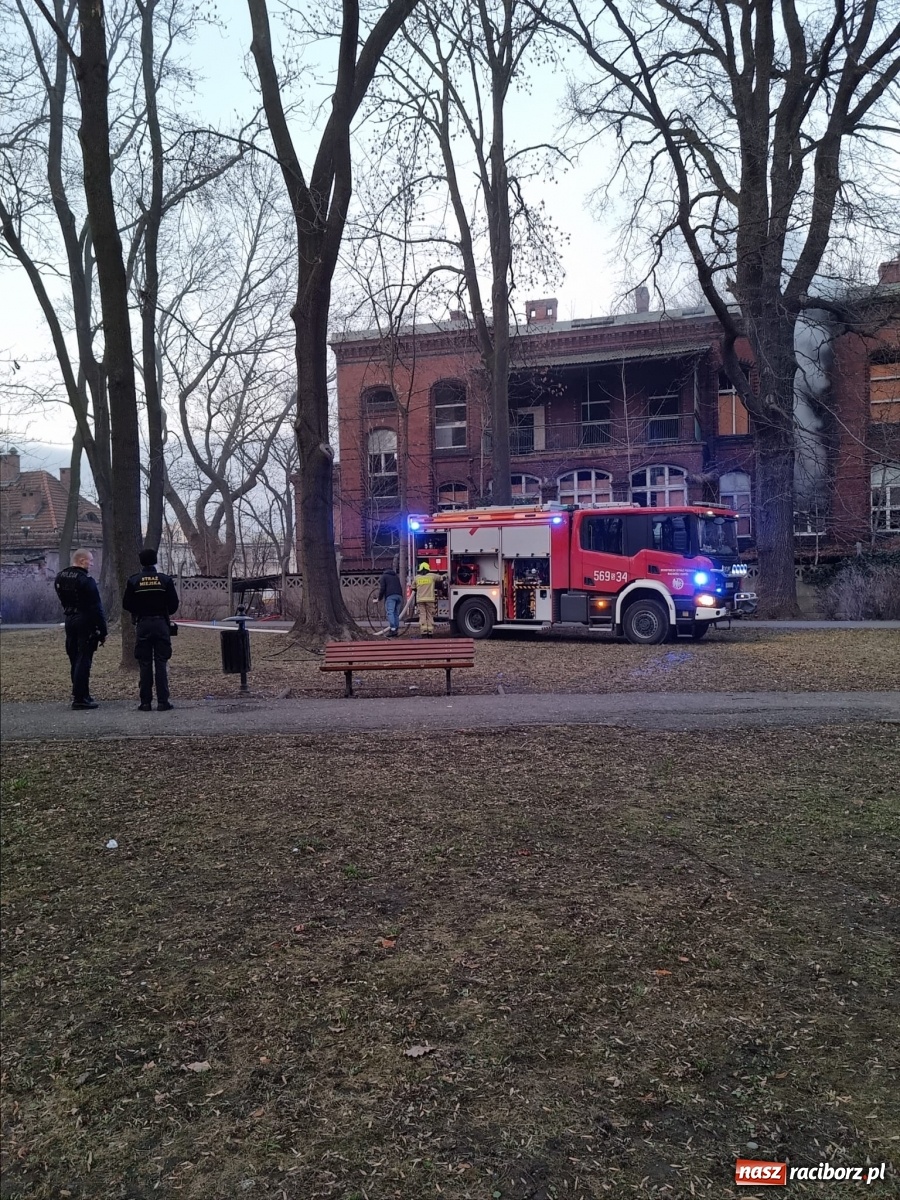 Zdjęcie w galerii na portalu naszraciborz.pl: Raport 998. Alarm z monitoringu w DPS na Ostrogu. Otwarcie mieszkania przy Pomnikowej wiadomości z regionu