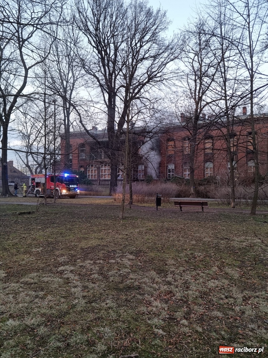 Zdjęcie w galerii na portalu naszraciborz.pl: Raport 998. Alarm z monitoringu w DPS na Ostrogu. Otwarcie mieszkania przy Pomnikowej wiadomości z regionu