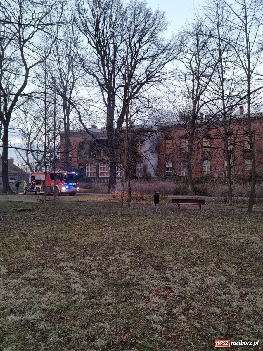 Zdjęcie w galerii na portalu naszraciborz.pl: Raport 998. Alarm z monitoringu w DPS na Ostrogu. Otwarcie mieszkania przy Pomnikowej wiadomości z regionu