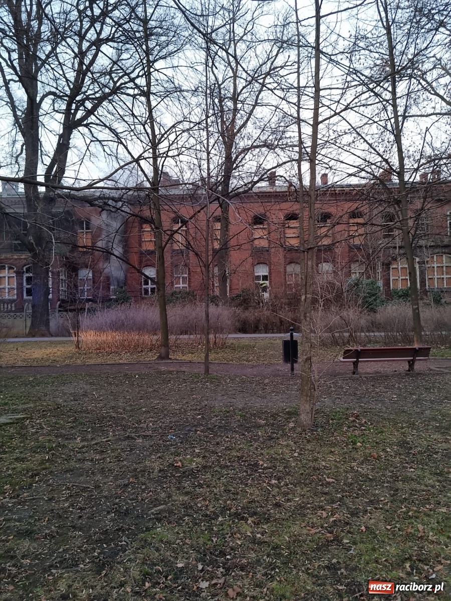 Zdjęcie w galerii na portalu naszraciborz.pl: Raport 998. Alarm z monitoringu w DPS na Ostrogu. Otwarcie mieszkania przy Pomnikowej wiadomości z regionu