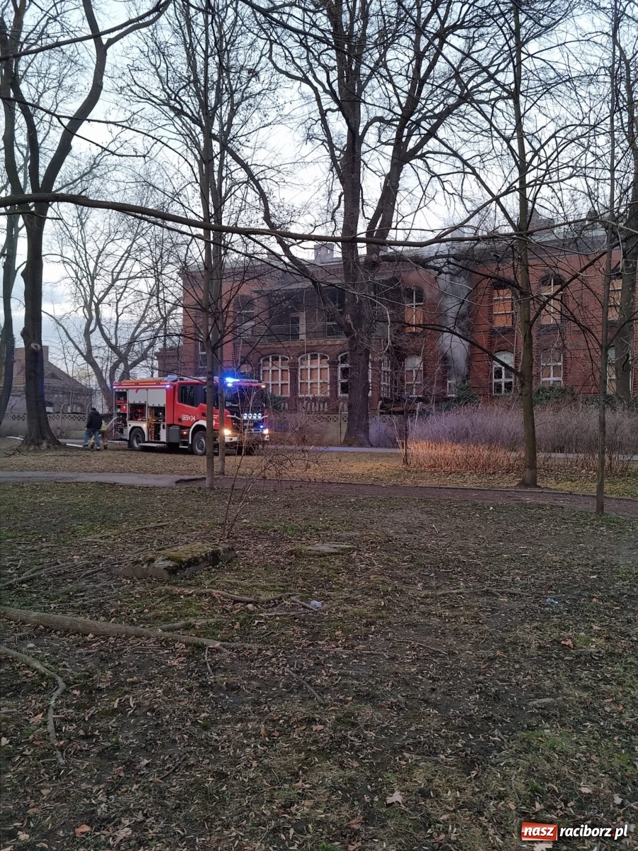 Zdjęcie w galerii na portalu naszraciborz.pl: Raport 998. Alarm z monitoringu w DPS na Ostrogu. Otwarcie mieszkania przy Pomnikowej wiadomości z regionu