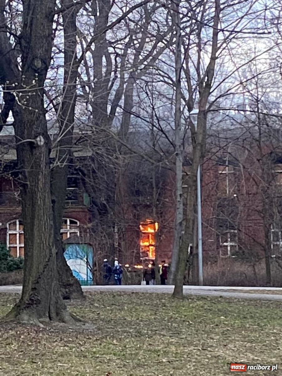 Zdjęcie w galerii na portalu naszraciborz.pl: Raport 998. Alarm z monitoringu w DPS na Ostrogu. Otwarcie mieszkania przy Pomnikowej wiadomości z regionu