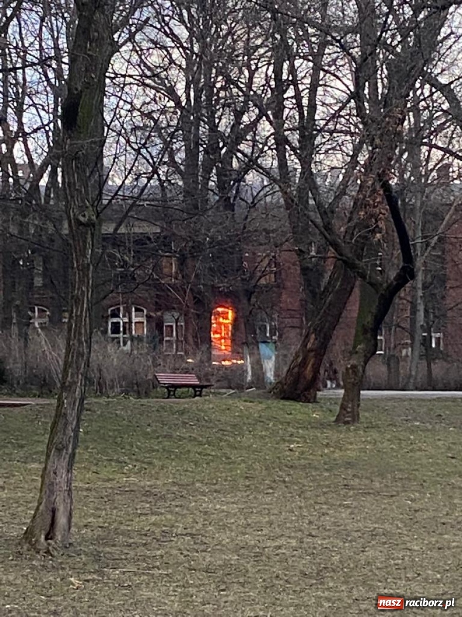 Zdjęcie w galerii na portalu naszraciborz.pl: Raport 998. Alarm z monitoringu w DPS na Ostrogu. Otwarcie mieszkania przy Pomnikowej wiadomości z regionu