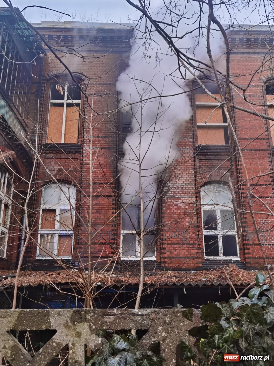 Zdjęcie w galerii na portalu naszraciborz.pl: Raport 998. Alarm z monitoringu w DPS na Ostrogu. Otwarcie mieszkania przy Pomnikowej wiadomości z regionu