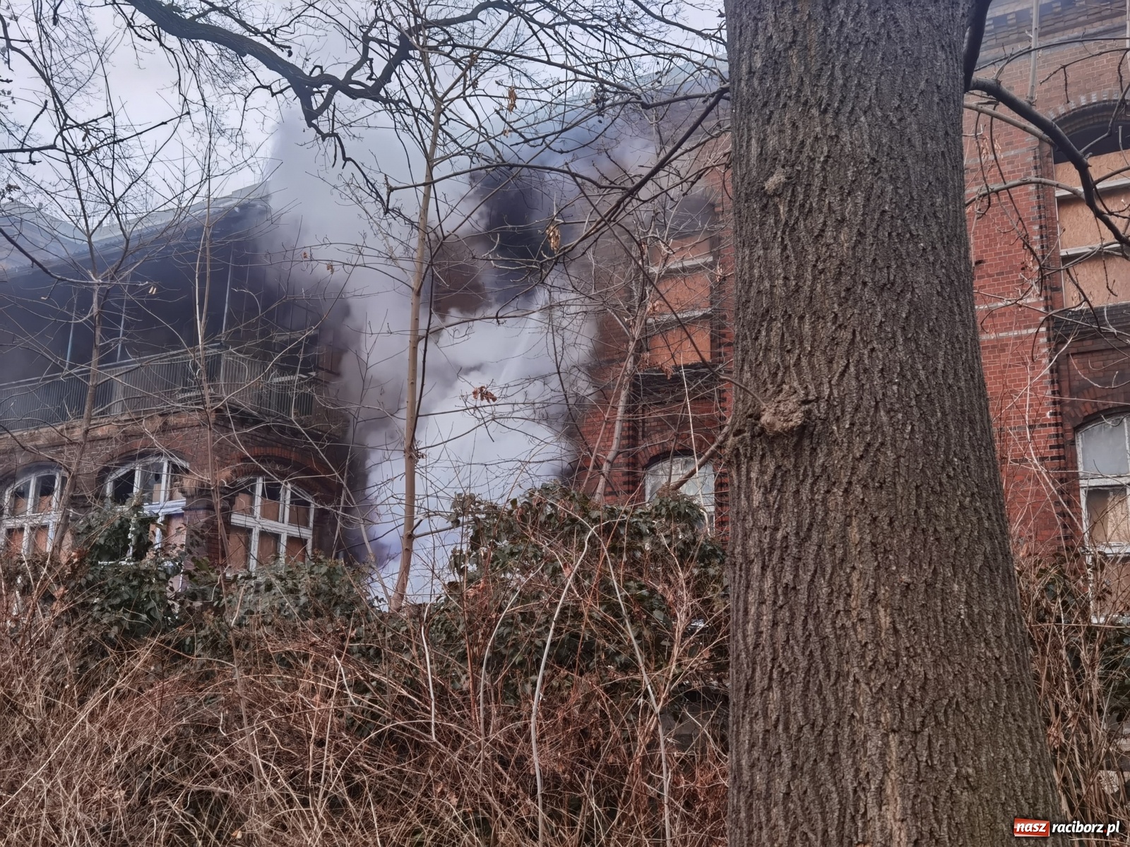 Zdjęcie w galerii na portalu naszraciborz.pl: Raport 998. Alarm z monitoringu w DPS na Ostrogu. Otwarcie mieszkania przy Pomnikowej wiadomości z regionu