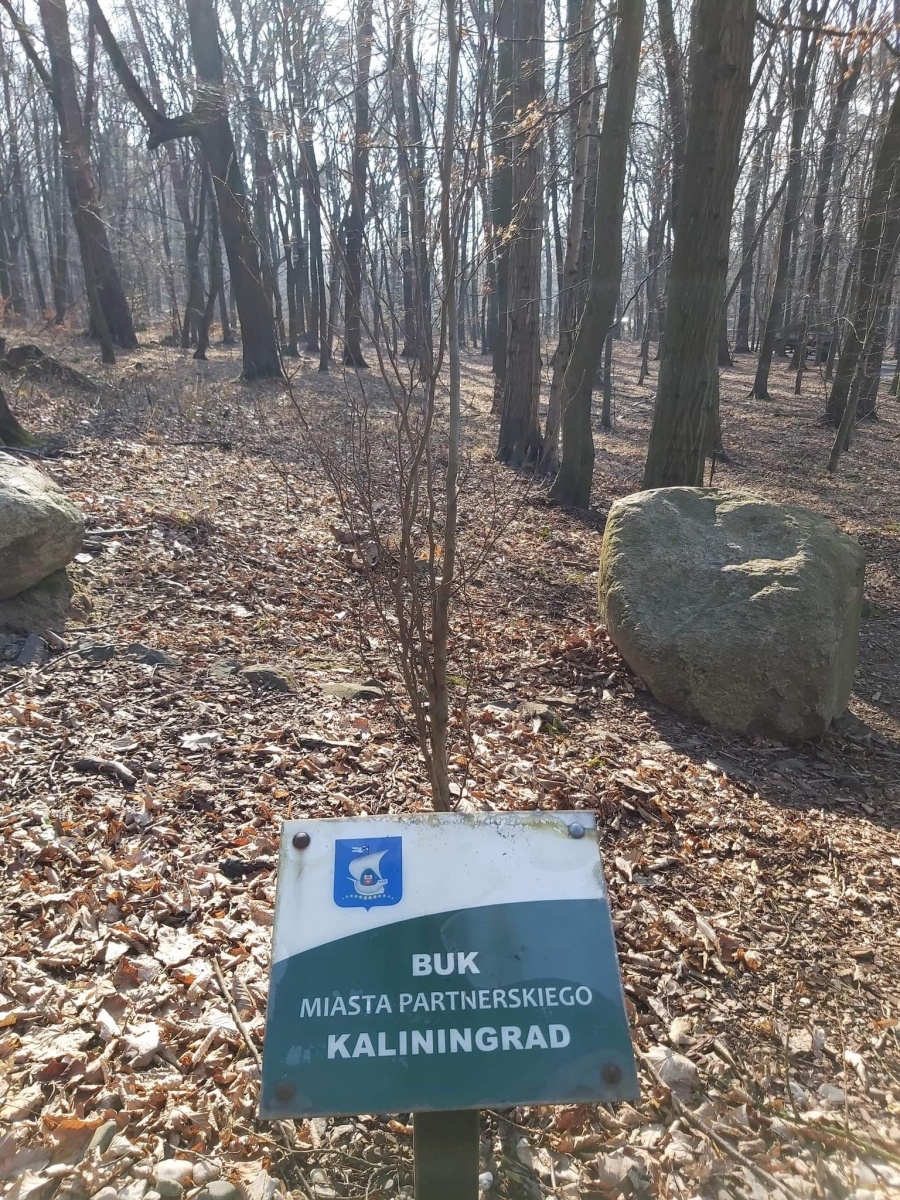 Zdjęcie w galerii na portalu naszraciborz.pl: Radni Raciborza solidarni z Ukrainą. NIE dla współpracy z Kaliningradem wiadomości z regionu