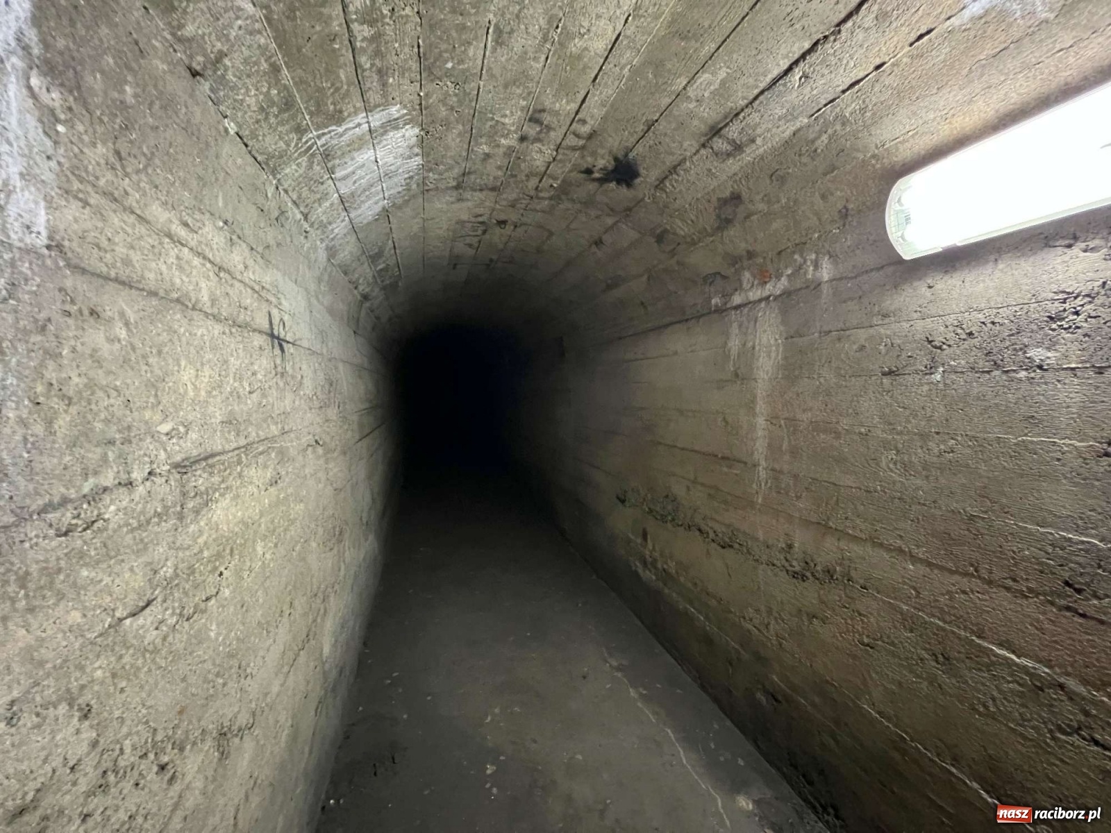 Zdjęcie w galerii na portalu naszraciborz.pl: Pół metra żelazobetonu. Zeszliśmy do raciborskiego schronu z II wojny światowej wiadomości z regionu