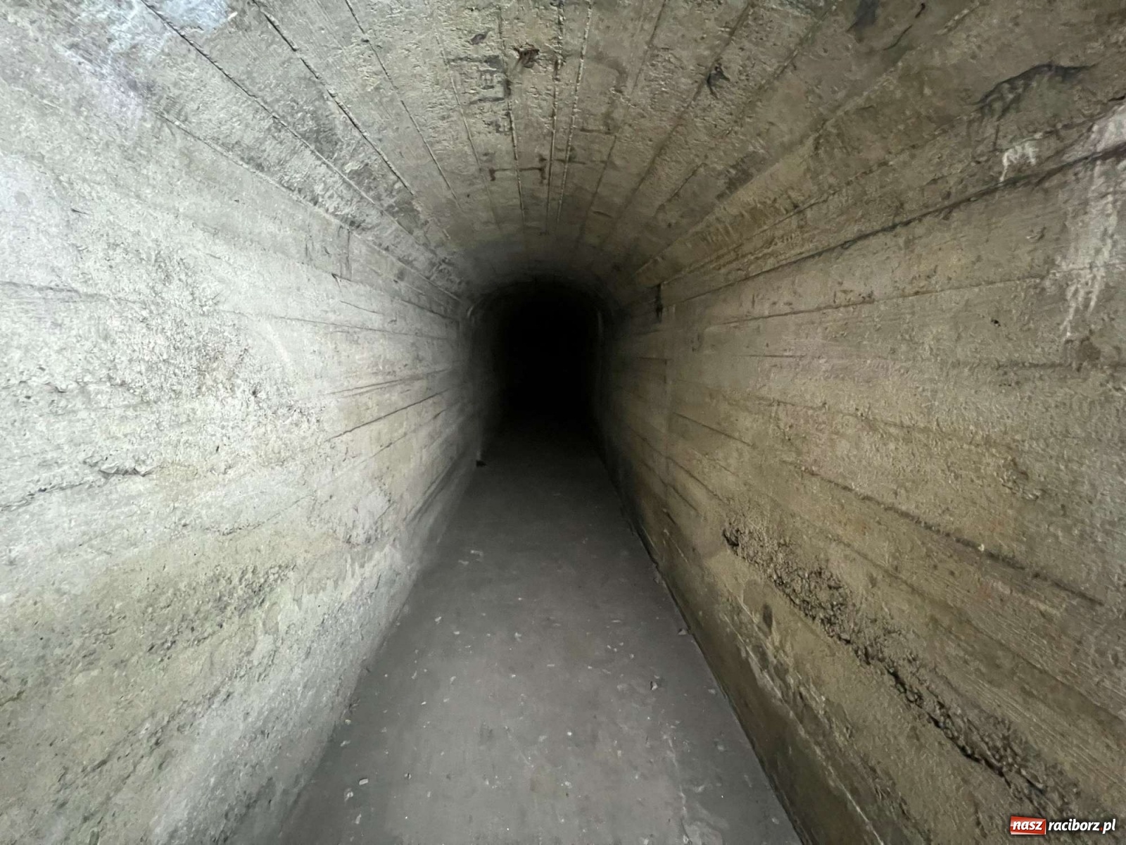 Zdjęcie w galerii na portalu naszraciborz.pl: Pół metra żelazobetonu. Zeszliśmy do raciborskiego schronu z II wojny światowej wiadomości z regionu