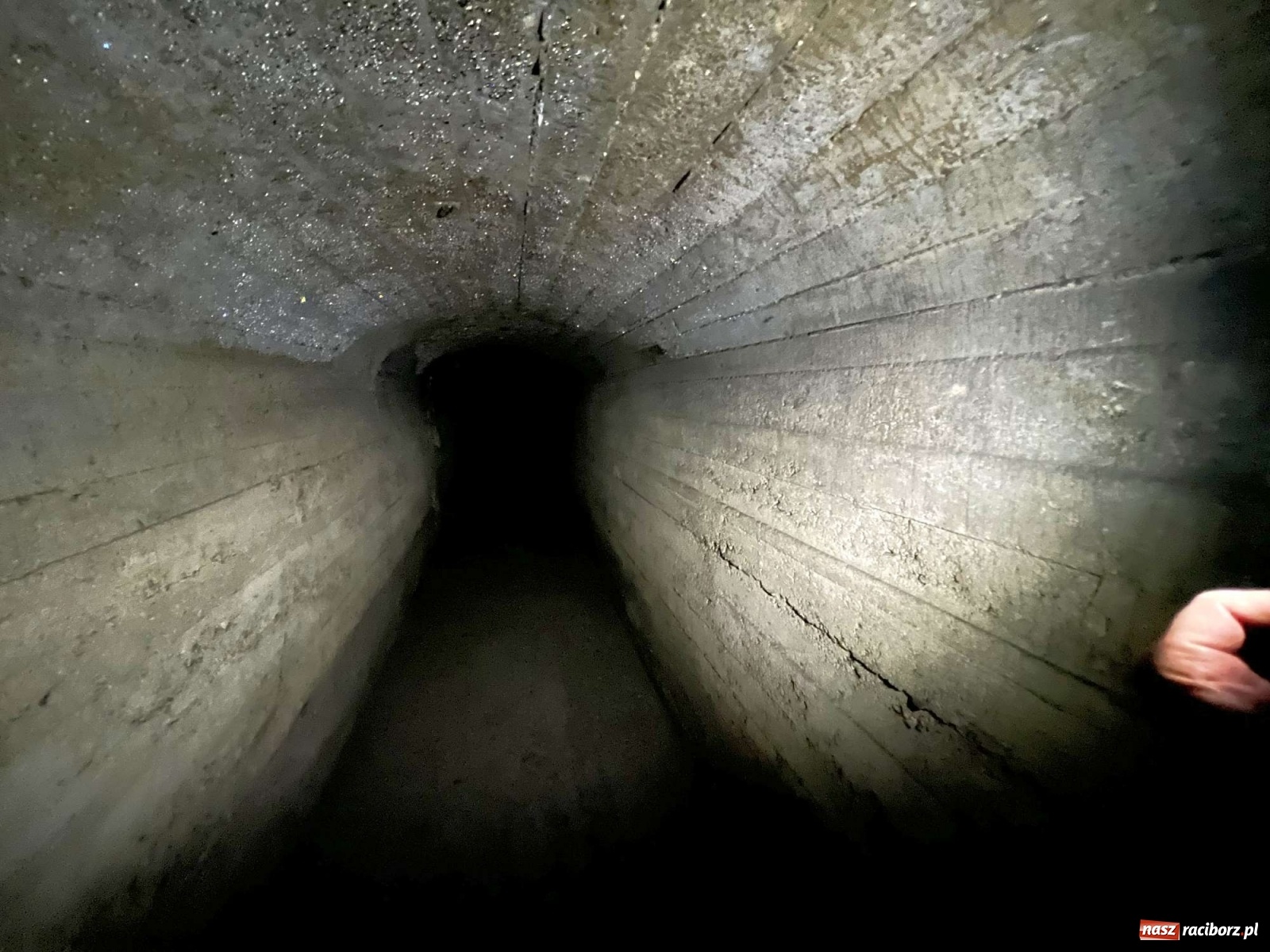 Zdjęcie w galerii na portalu naszraciborz.pl: Pół metra żelazobetonu. Zeszliśmy do raciborskiego schronu z II wojny światowej wiadomości z regionu