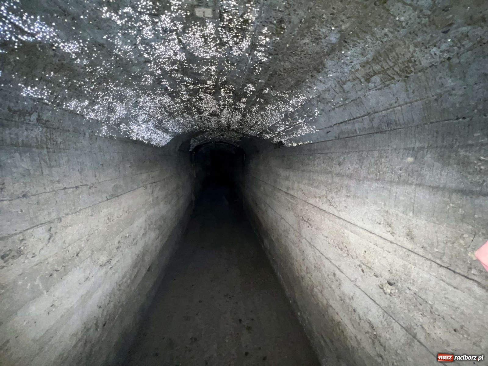 Zdjęcie w galerii na portalu naszraciborz.pl: Pół metra żelazobetonu. Zeszliśmy do raciborskiego schronu z II wojny światowej wiadomości z regionu