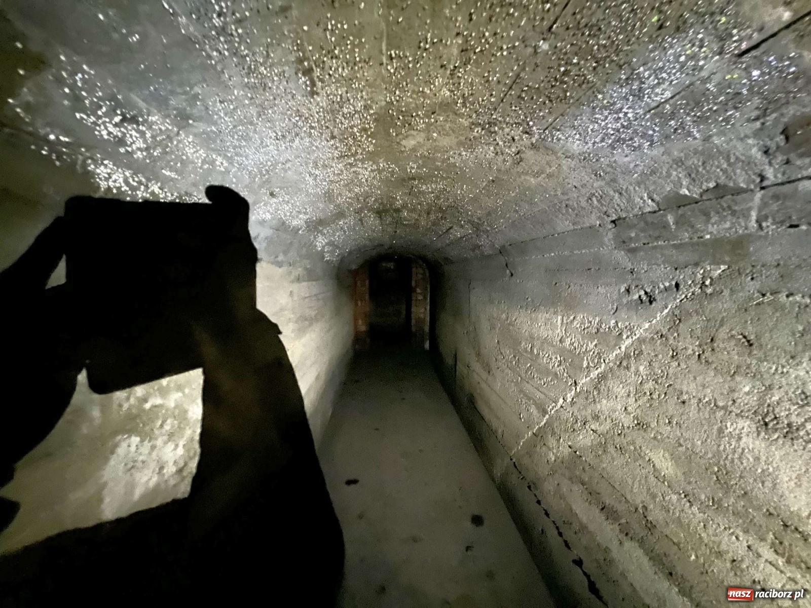 Zdjęcie w galerii na portalu naszraciborz.pl: Pół metra żelazobetonu. Zeszliśmy do raciborskiego schronu z II wojny światowej wiadomości z regionu