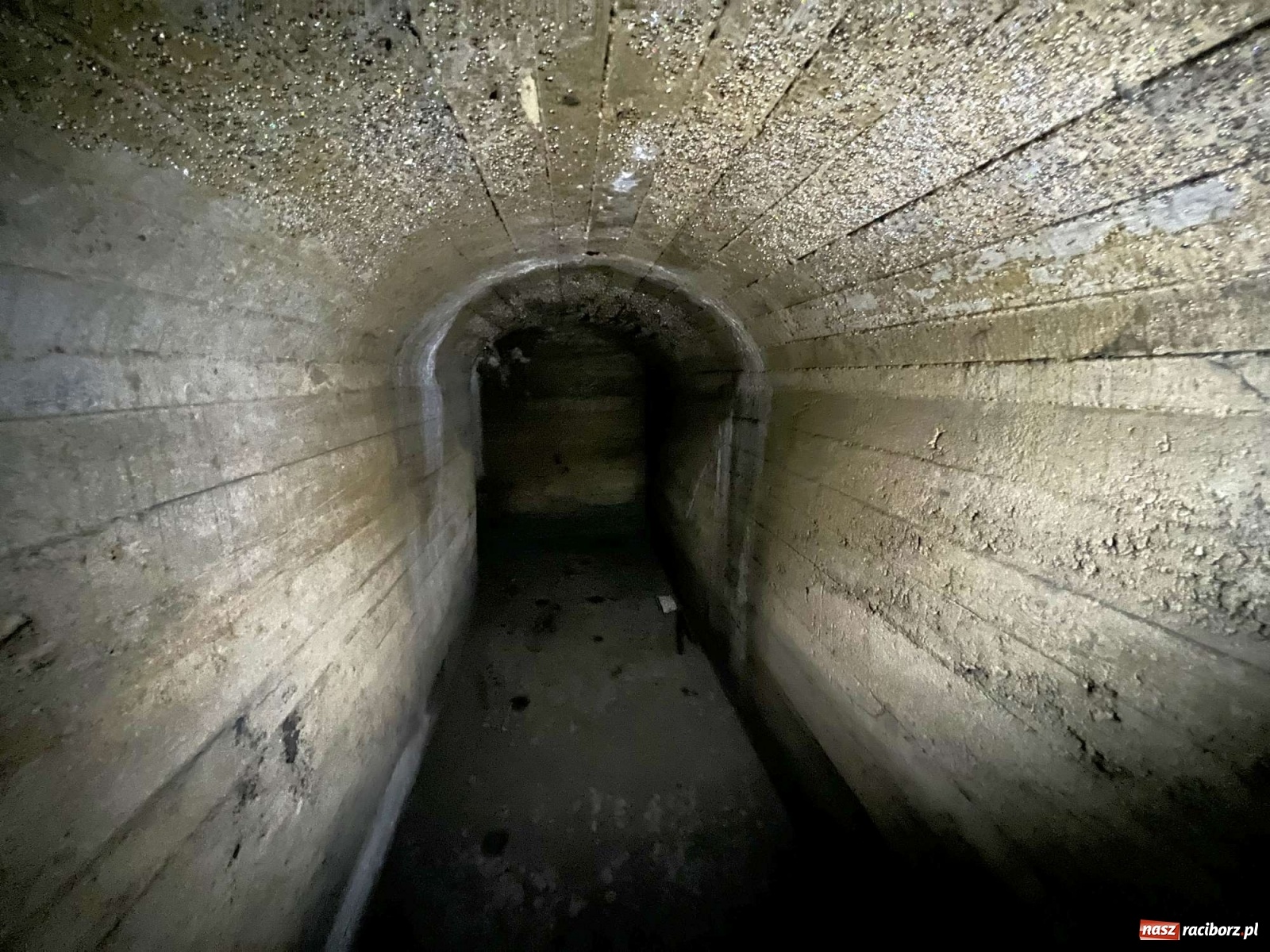 Zdjęcie w galerii na portalu naszraciborz.pl: Pół metra żelazobetonu. Zeszliśmy do raciborskiego schronu z II wojny światowej wiadomości z regionu