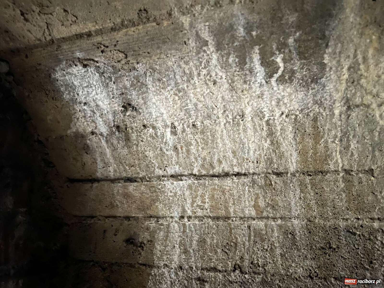 Zdjęcie w galerii na portalu naszraciborz.pl: Pół metra żelazobetonu. Zeszliśmy do raciborskiego schronu z II wojny światowej wiadomości z regionu