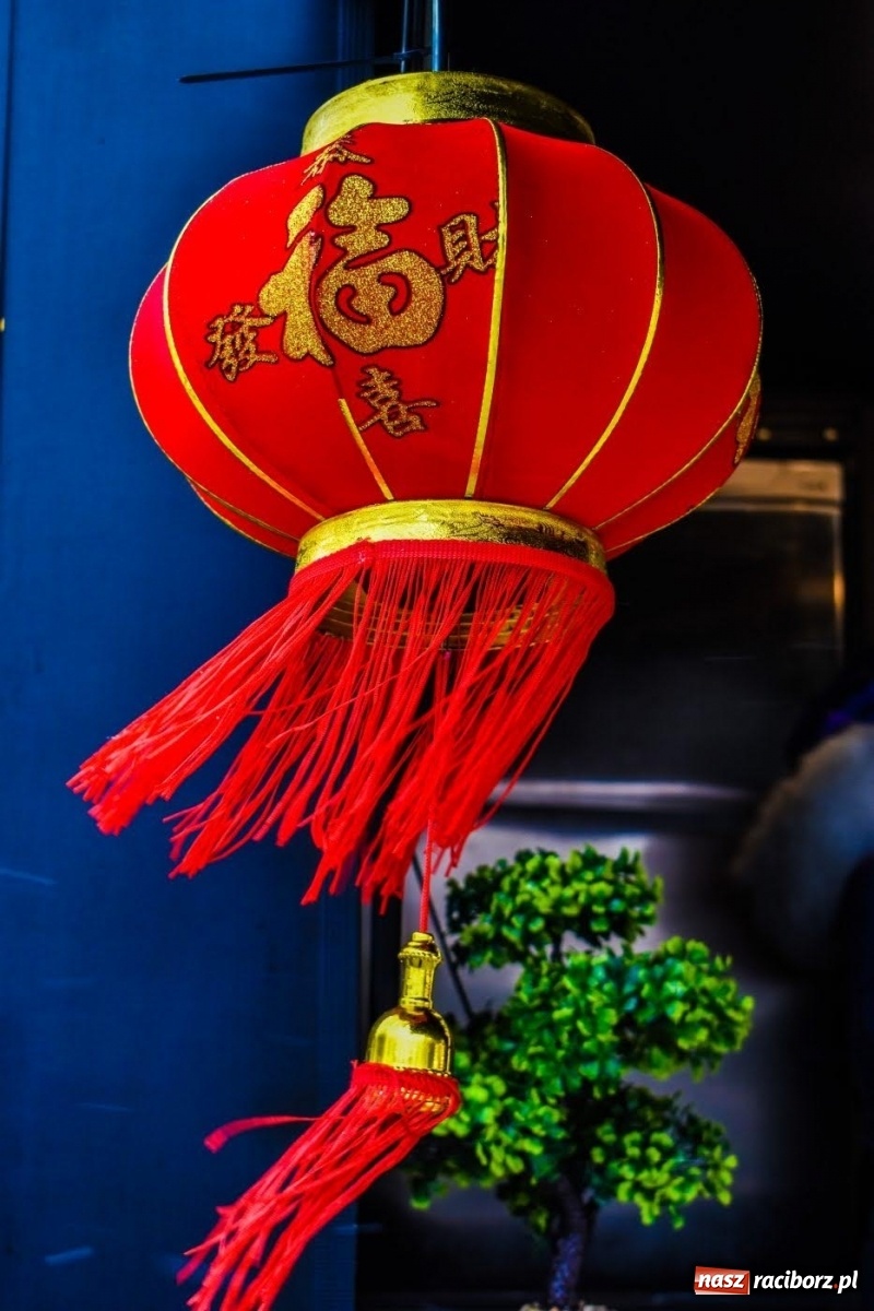 Zdjęcie w galerii na portalu naszraciborz.pl: Kulinarny przednówek w Raciborzu. Food trucki na zamku wiadomości z regionu